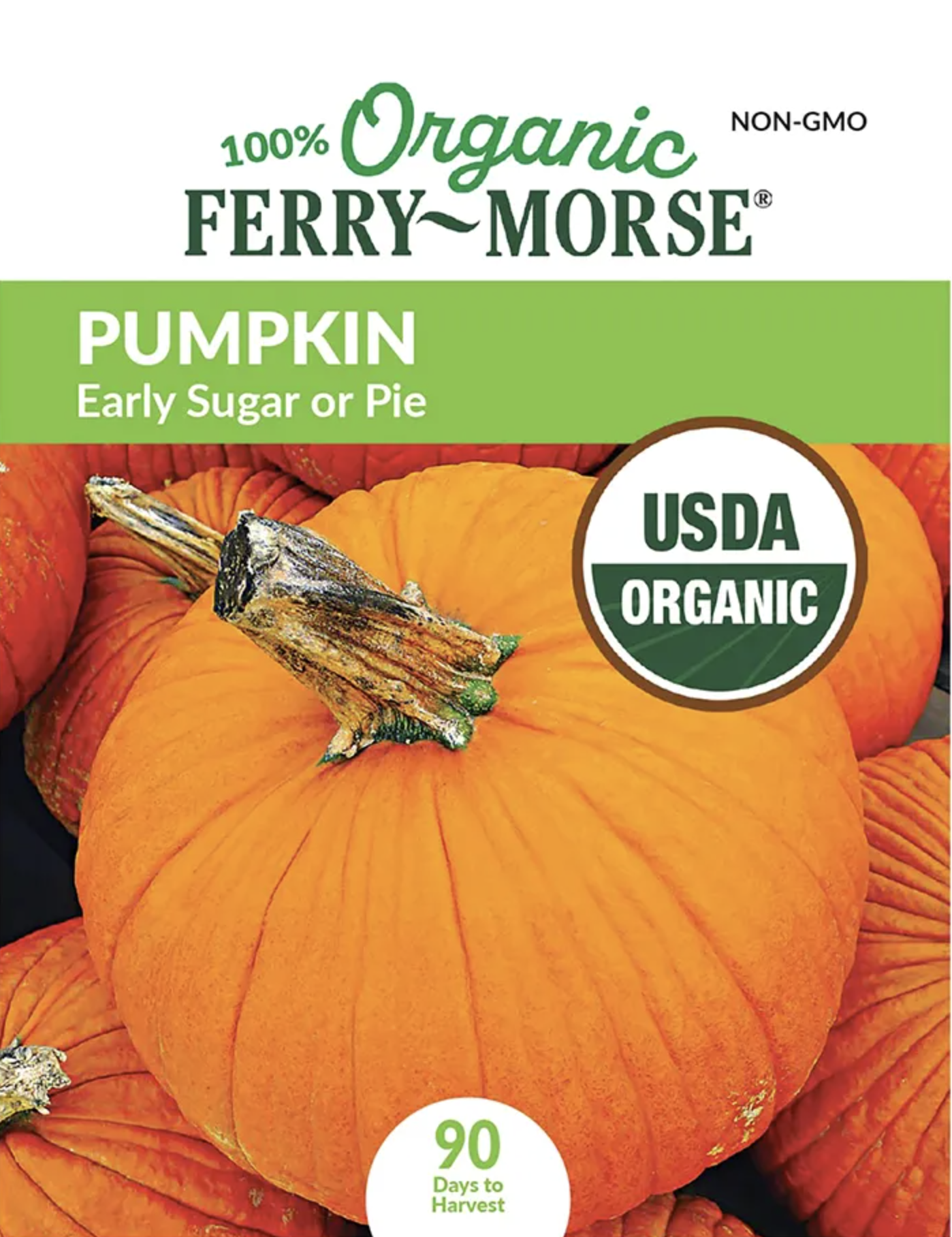Ferry-Morse Pumpkin Seeds - Early Sugar or Pie Organic