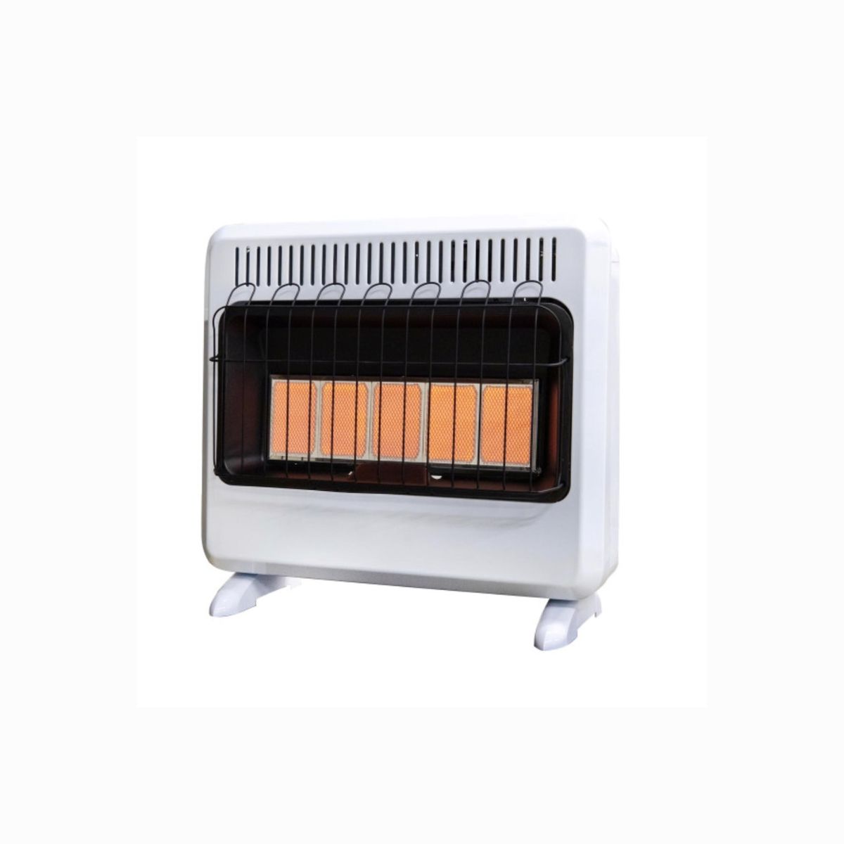 Mr. Heater 1000 sq. ft. 30000 BTU LP/NG Wall Heater
