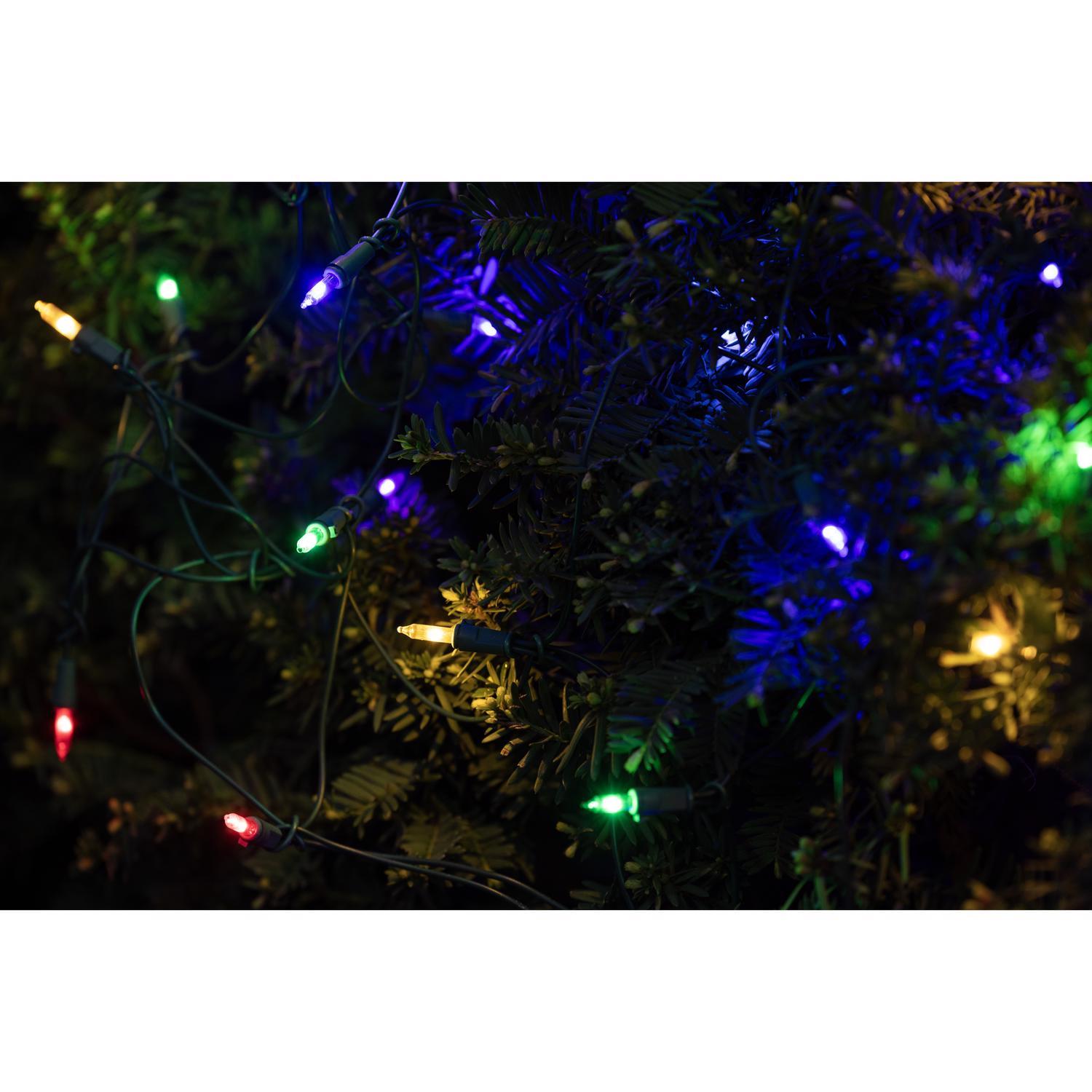 Celebrations Classic LED T5 Multicolored 100 ct Net Christmas Lights 4 ft.