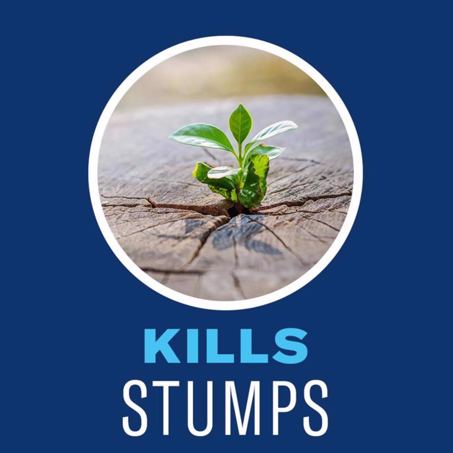 BioAdvanced Brush Killer Concentrate 32 oz