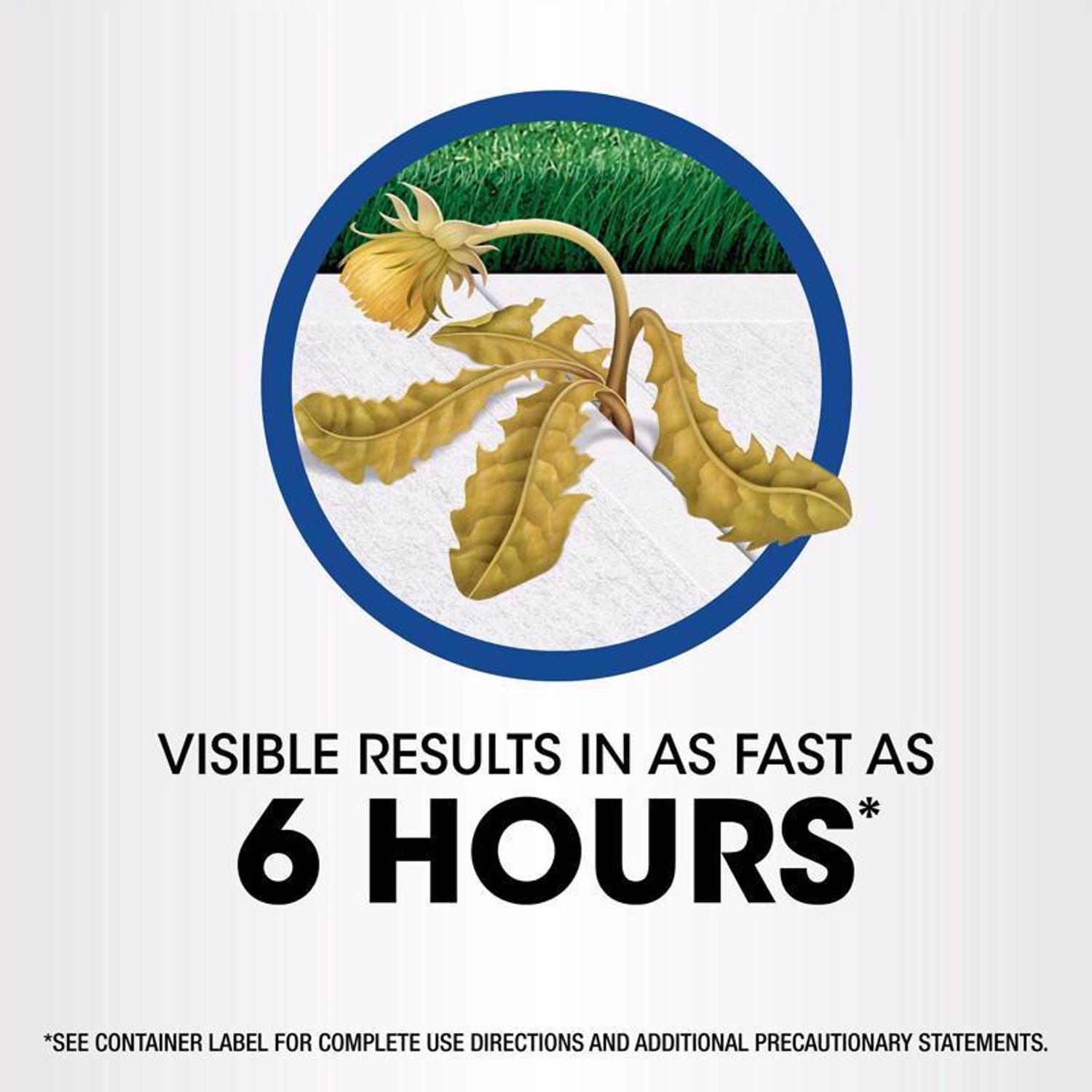 Roundup Weed and Grass Killer RTU Liquid 1 gal Stine Home + Yard