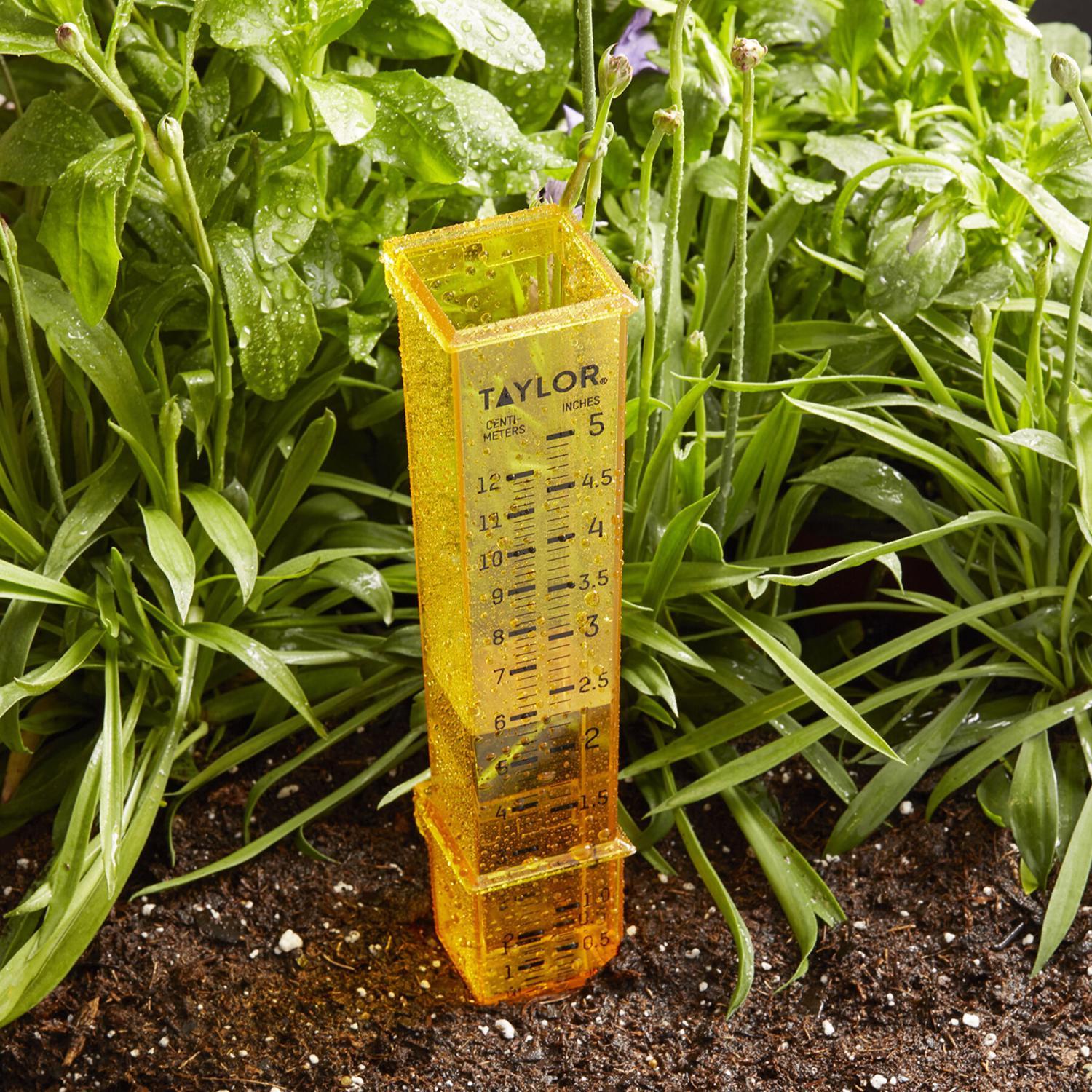 Taylor Square Rain Gauge Ground 1.2 in. W X 7.8 in. L