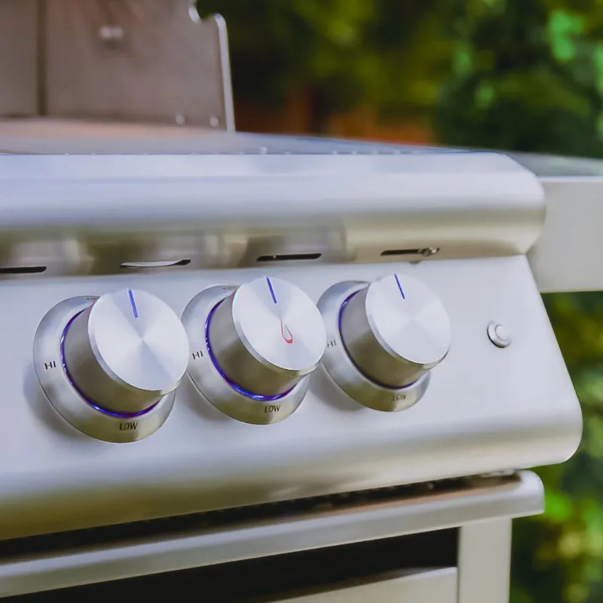 Blaze Grill 5 Burner LTE Plus with Lights 40 in. NG