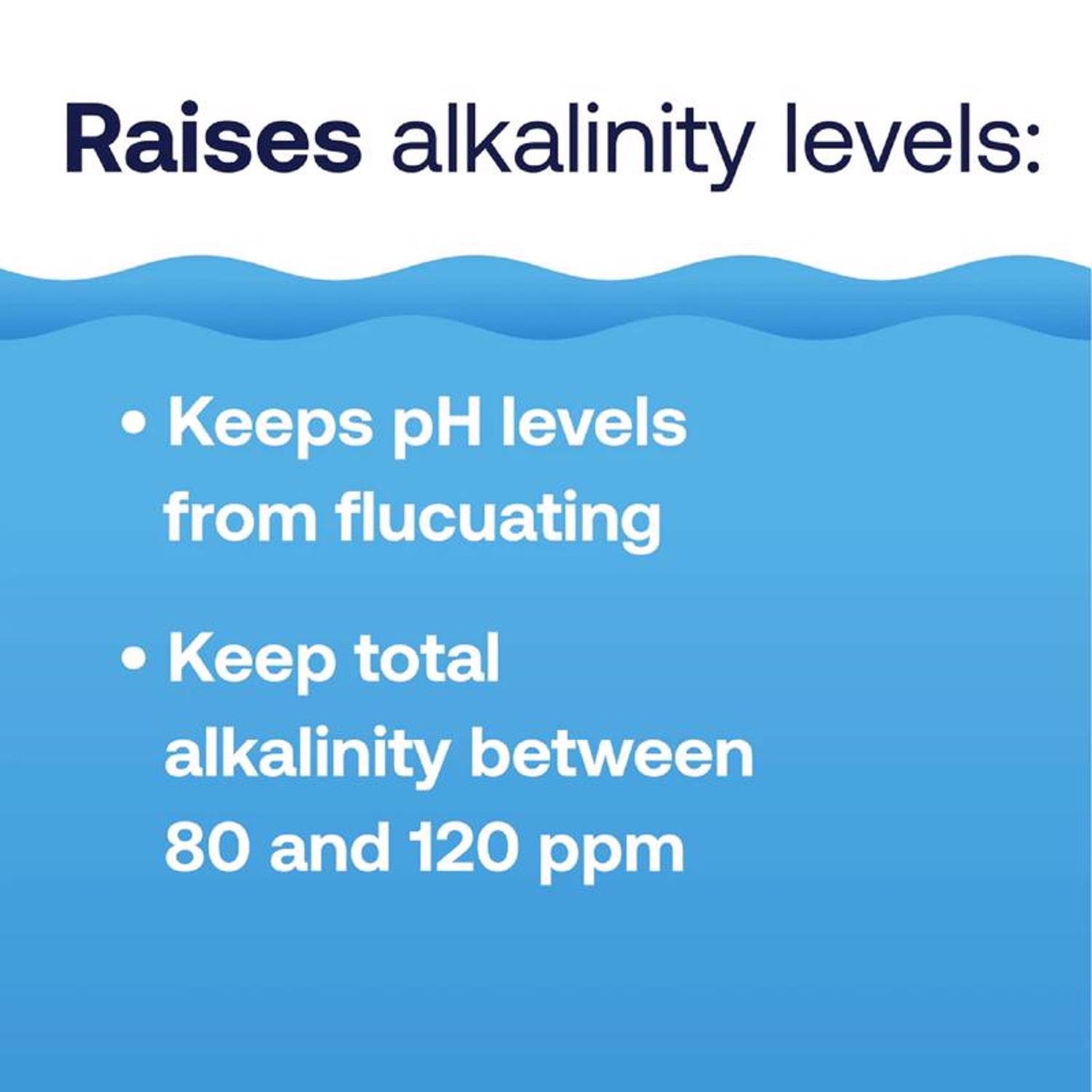 HTH Spa Powder Alkalinity Increaser 1.25 lb