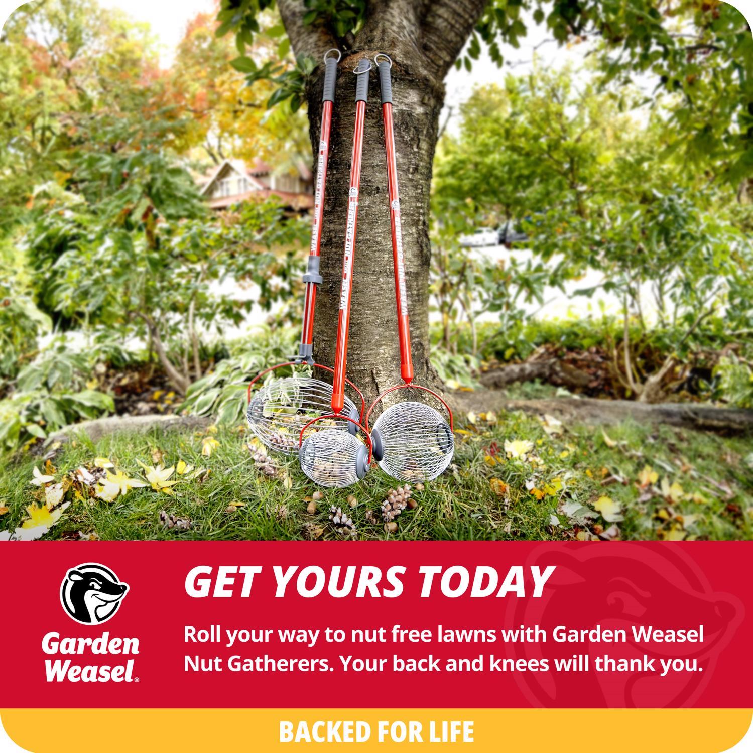 Garden Weasel Medium 47.5 in. Steel Nut Gatherer Steel Handle