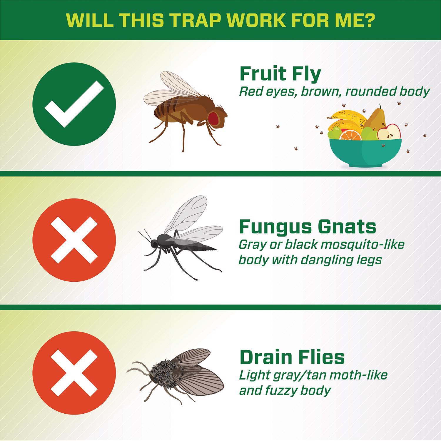 RESCUE! Fruit Fly Trap 0.51 oz