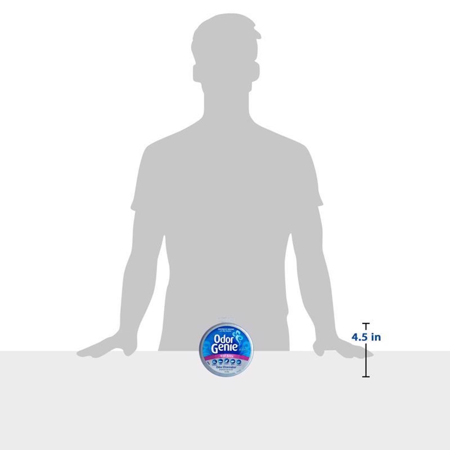 Odor Genie Berry Scent Odor Eliminator 8 oz Gel