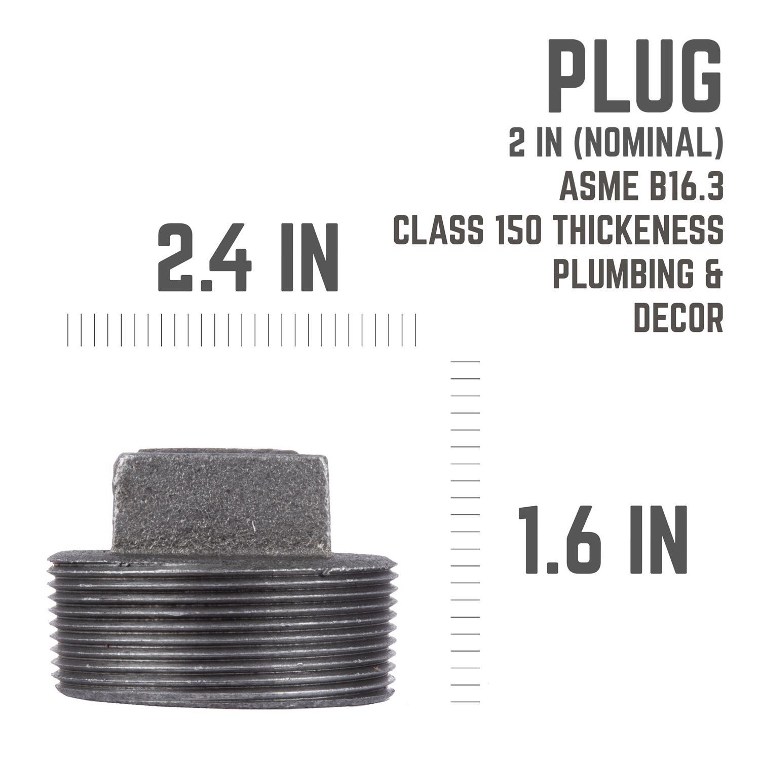 STZ Industries 2 in. MIP each Black Malleable Iron Plug