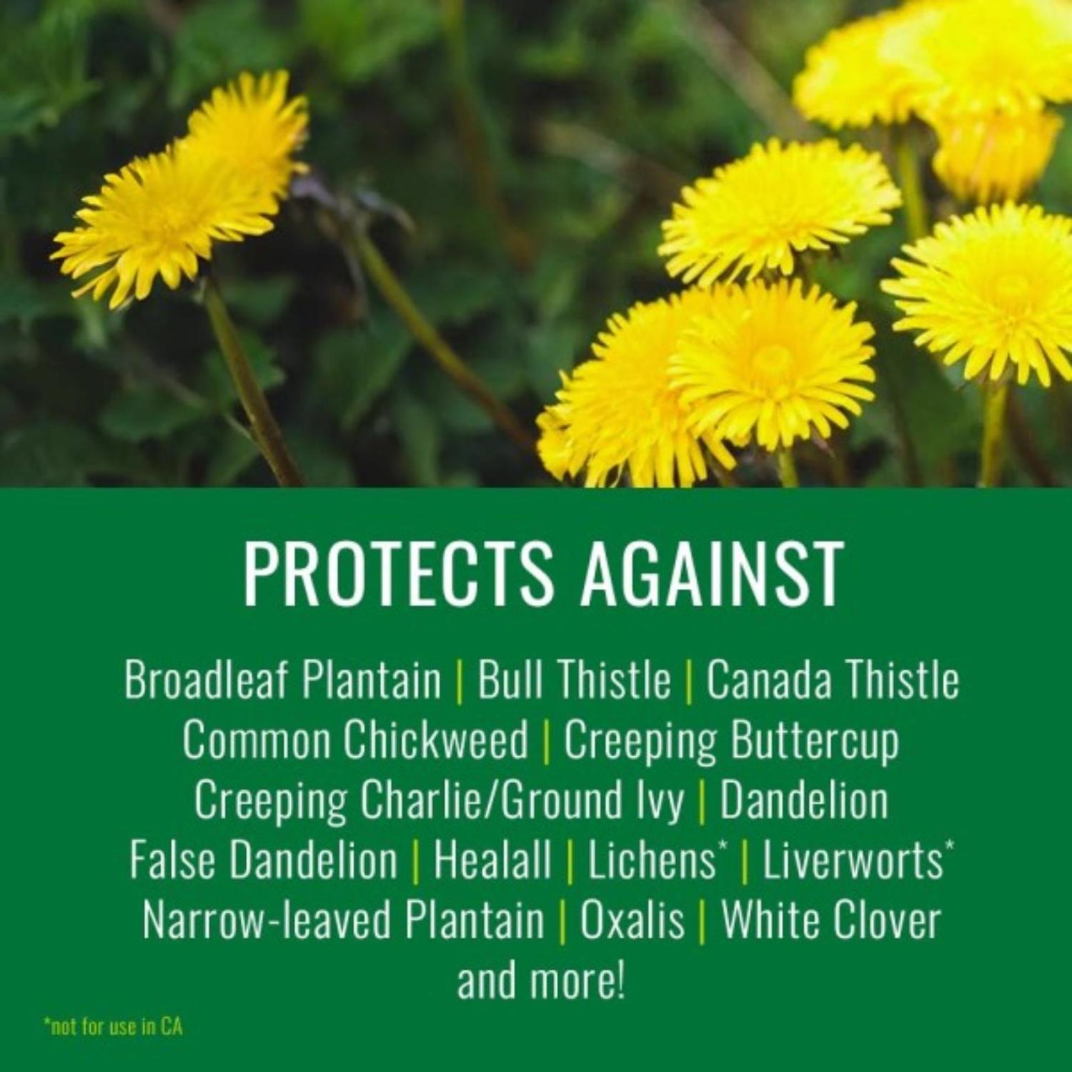 NATRIA Ready-to-Use Weed Weed and Disease Control RTU Liquid 24 oz