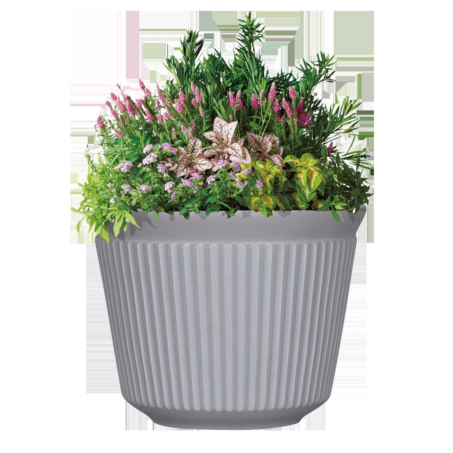 L&G 9.33 in. H X 12 in. W X 12 in. D X 12 in. D Polyresin Finola Planter Cement