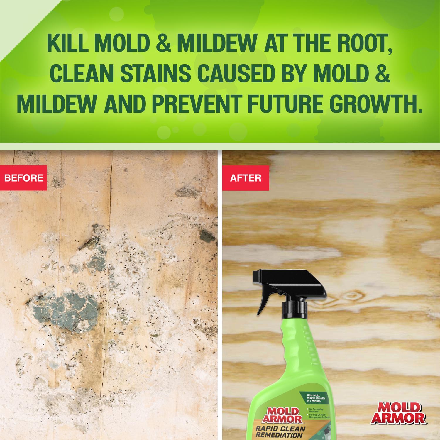 Mold Armor Mold and Mildew Remover 32 fl. oz.