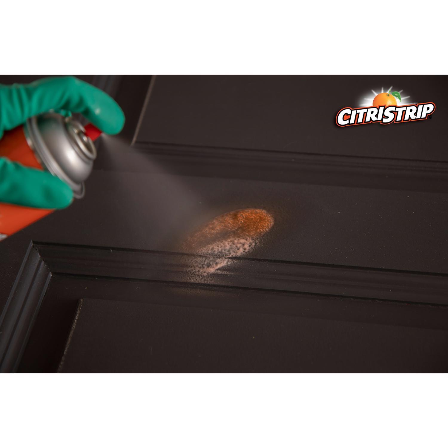 Citristrip Safer Paint and Varnish Stripper 17 oz