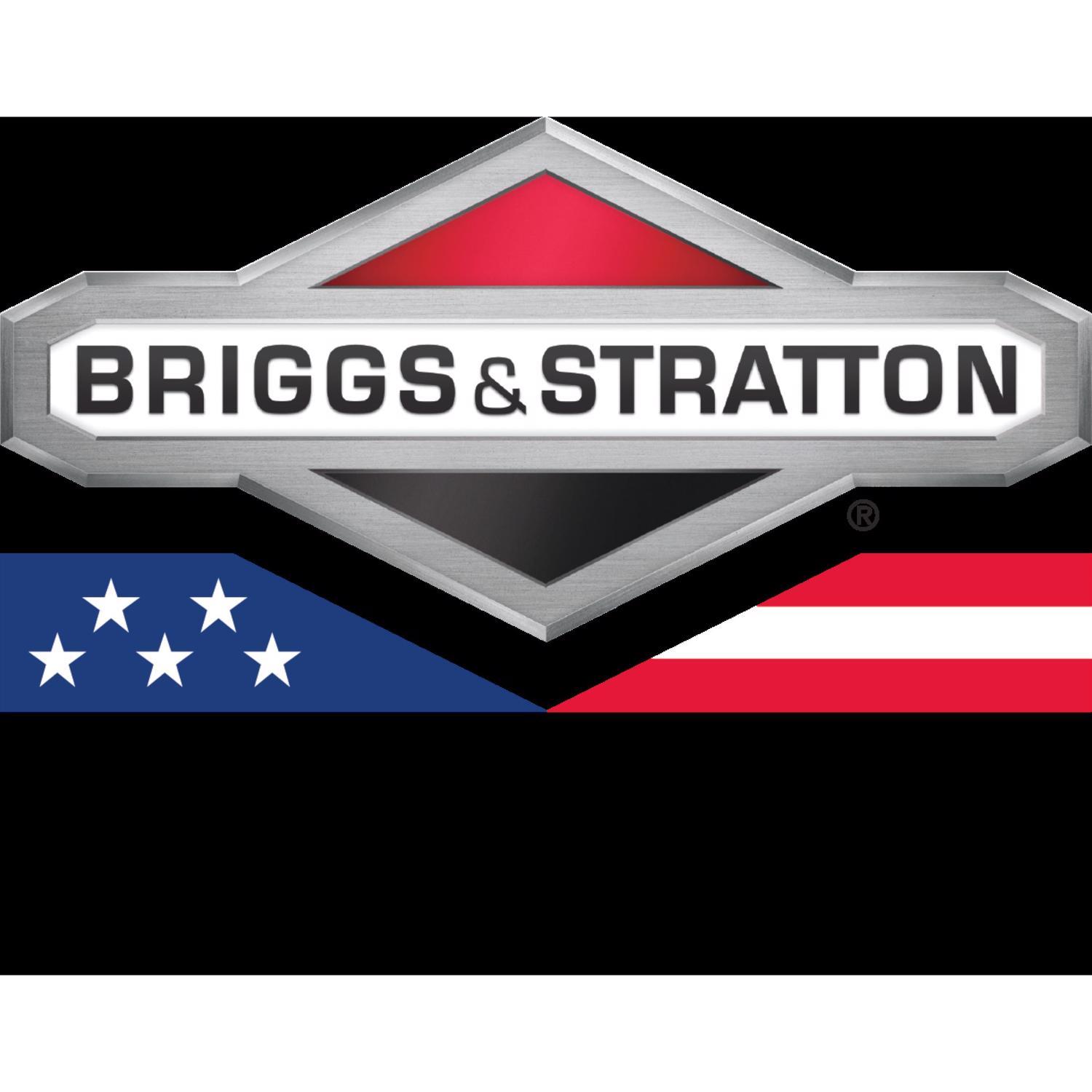 Toro Recycler 21462 22 in. 163 cc Gas Self-Propelled Lawn Mower