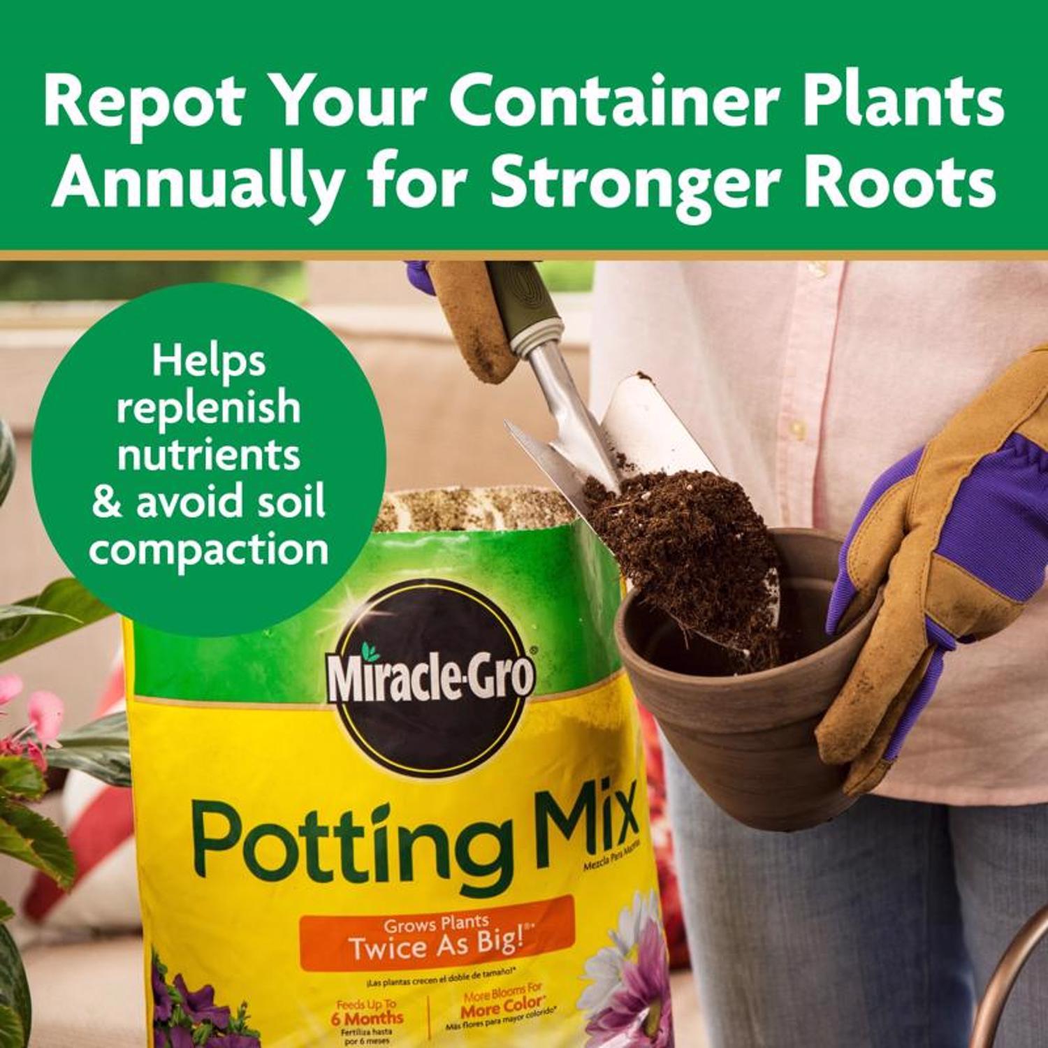 Miracle-Gro Flower and Plant Potting Mix 8 qt