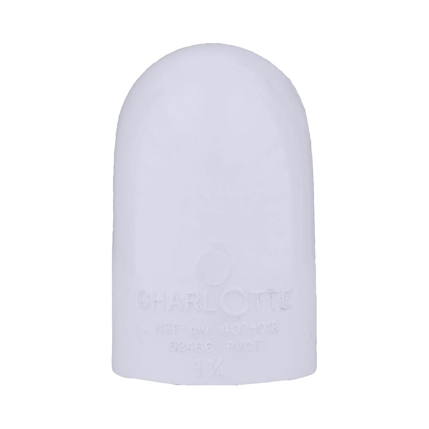 Charlotte Pipe Schedule 40 1-1/4 in. Slip X 1-1/4 in. D FPT PVC 90 Degree Elbow 1 pk