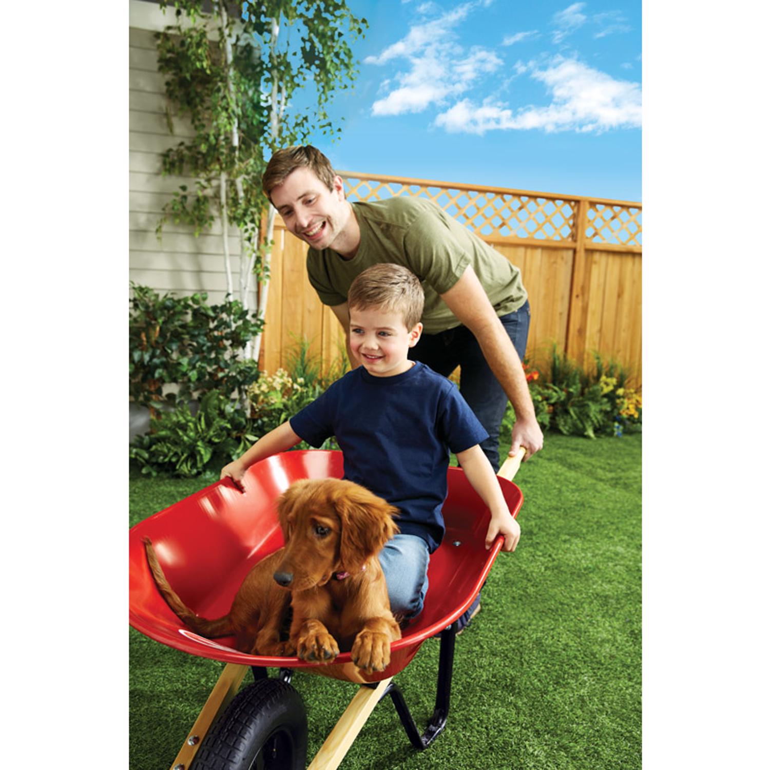 Ace sales steel wheelbarrow