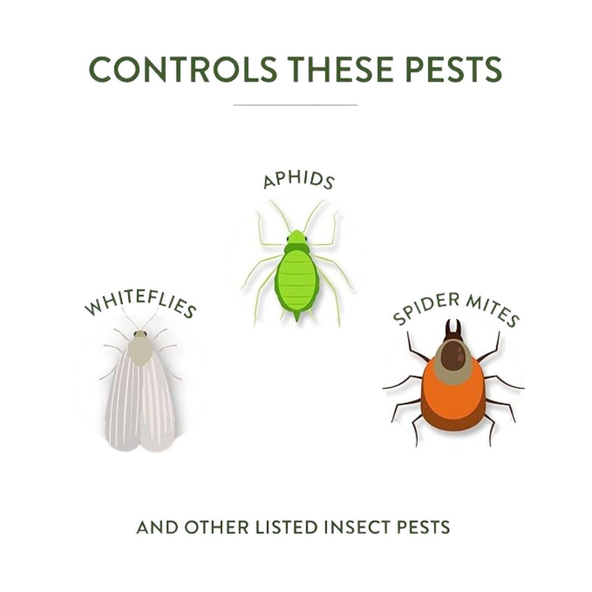 Garden Safe Neem Oil Extract Concentrate 10 oz.