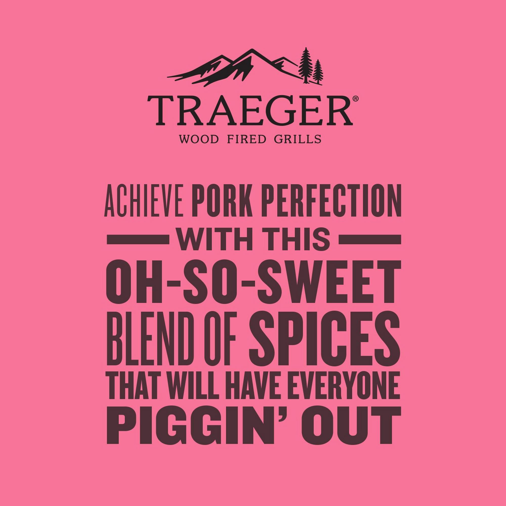 Traeger Perfect Pork Rub