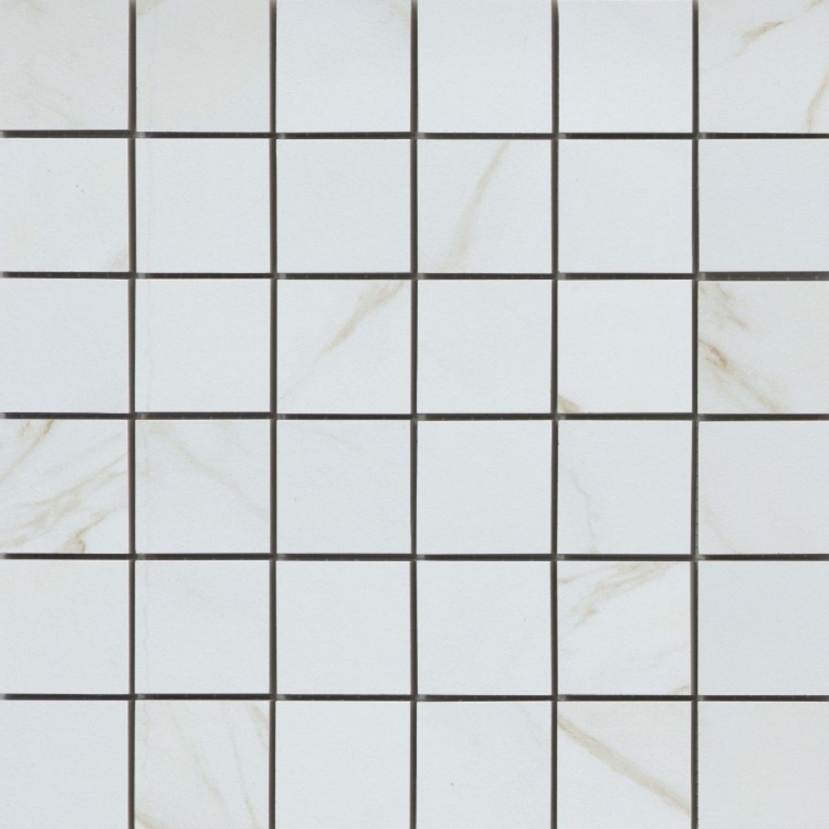 Emser Tile Nobleza Lugo Matte 2X2/12X12