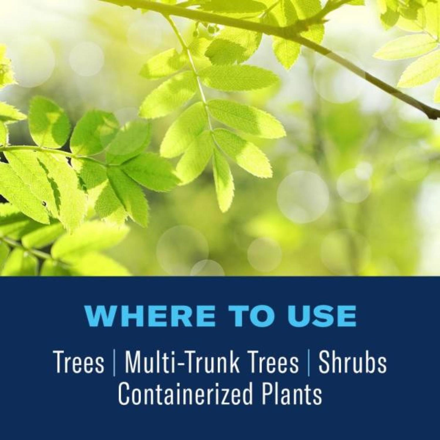 BioAdvanced 12 Month Tree and Shrub Protect & Feed Concentrate 32 oz