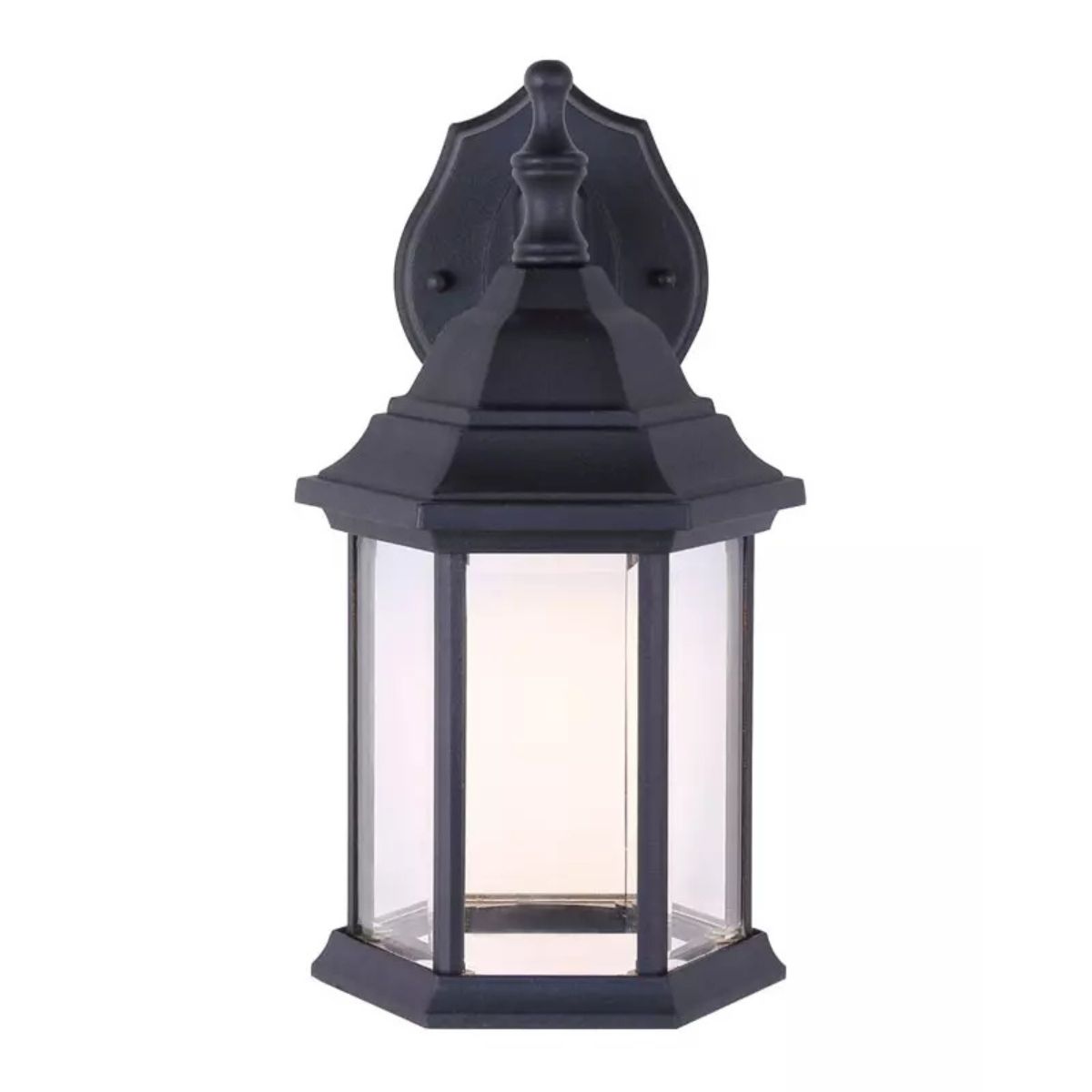 Dane LED Black Outdoor Wall Light