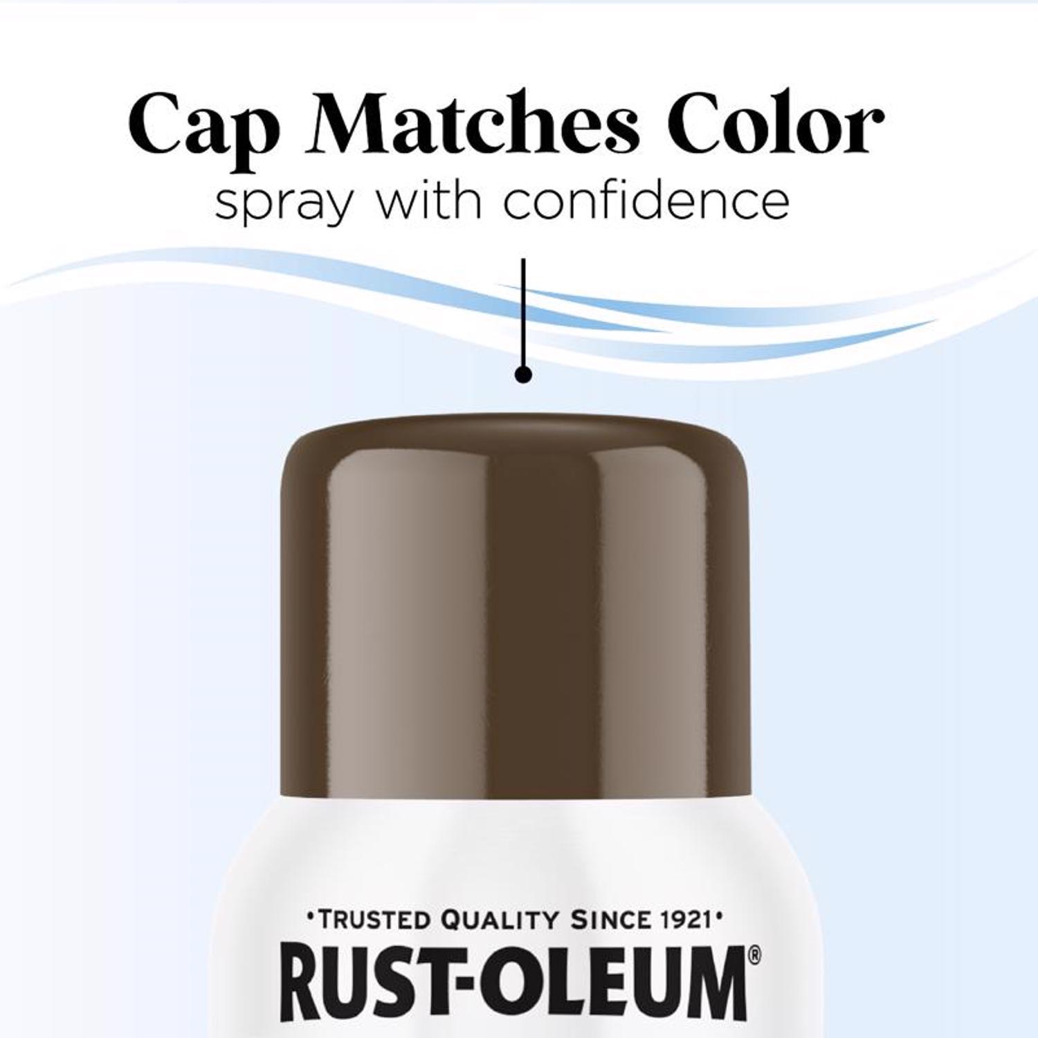 Rust-Oleum Low Odor Gloss Brown Bear Spray Paint 11 oz.