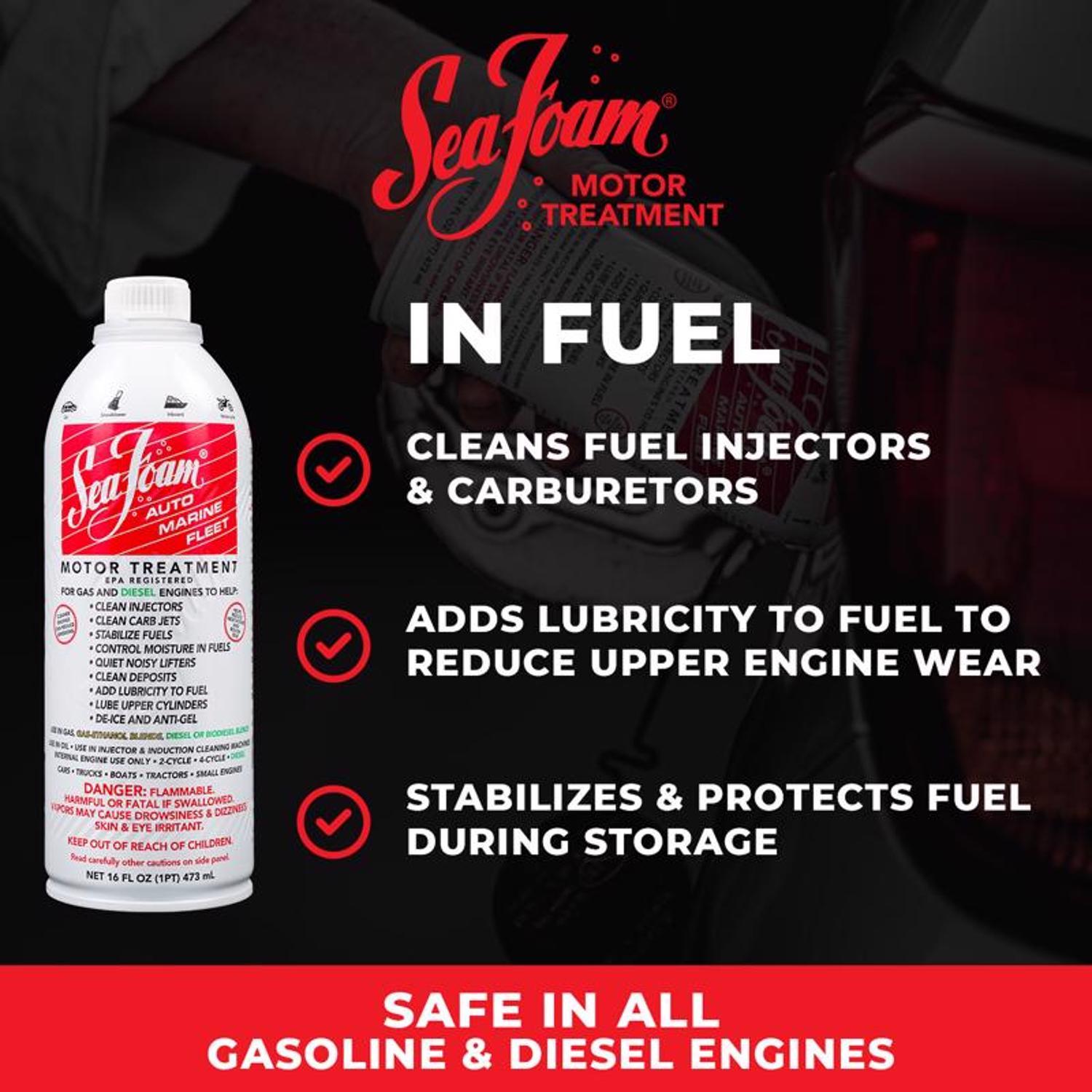 Sea Foam Gasoline/2 and 4 Cycle Engine Motor Treatment 16 oz