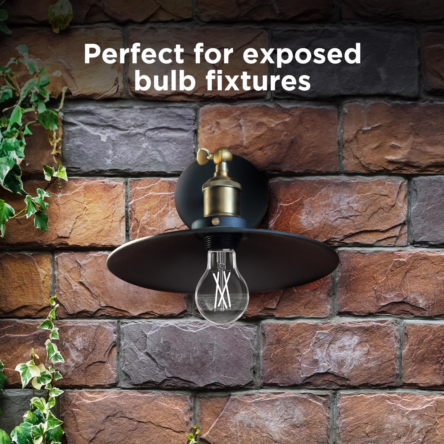 Feit A19 E26 (Medium) LED Dusk to Dawn Bulb Daylight 60 Watt Equivalence 1 pk