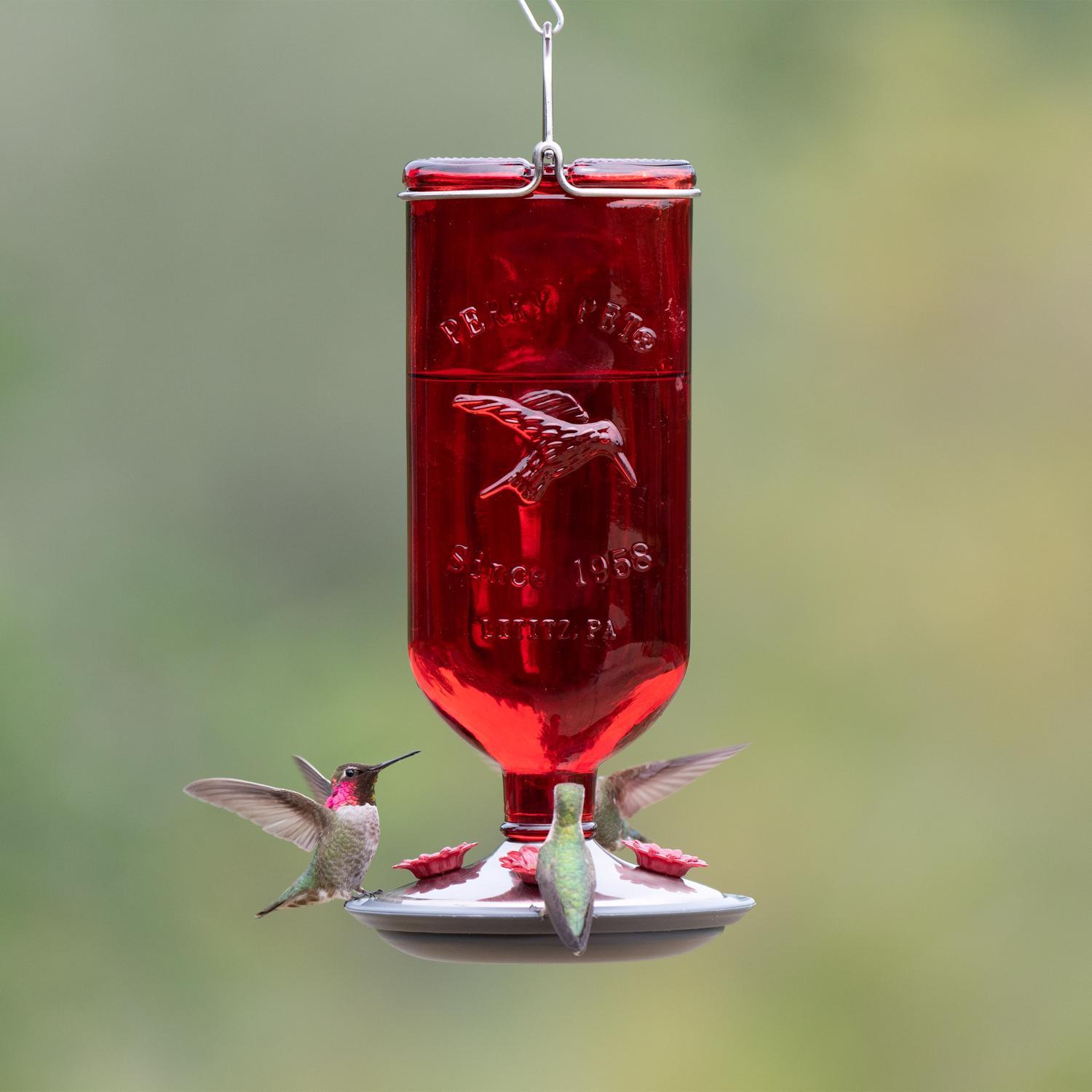 Perky-Pet Hummingbird 16 oz Glass/Metal/Plastic Nectar Feeder 4 ports