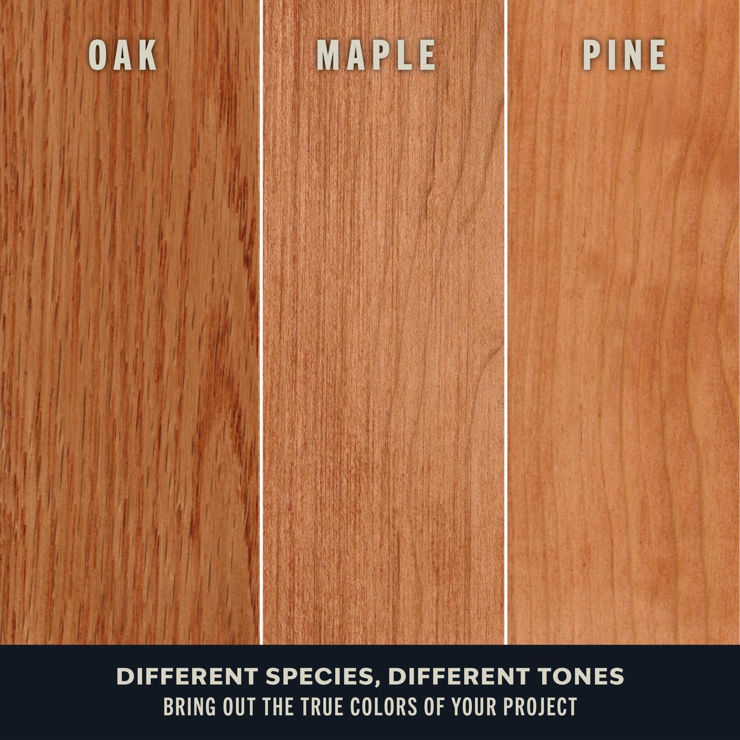 Varathane Premium Traditional Pecan Oil-Based Fast Dry Wood Stain 1/2 pt