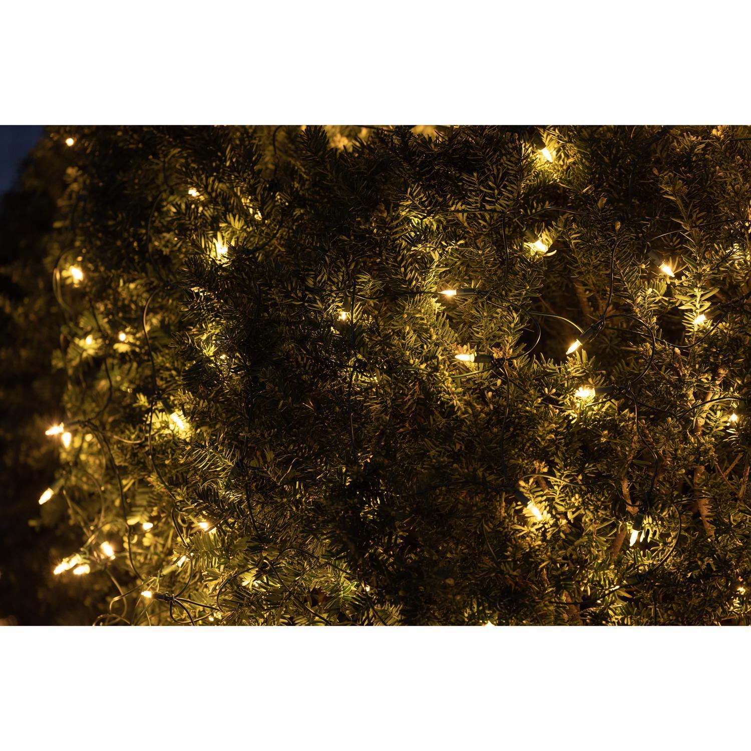 Celebrations Classic LED T5 Warm White 100 ct Net Christmas Lights 4 ft.