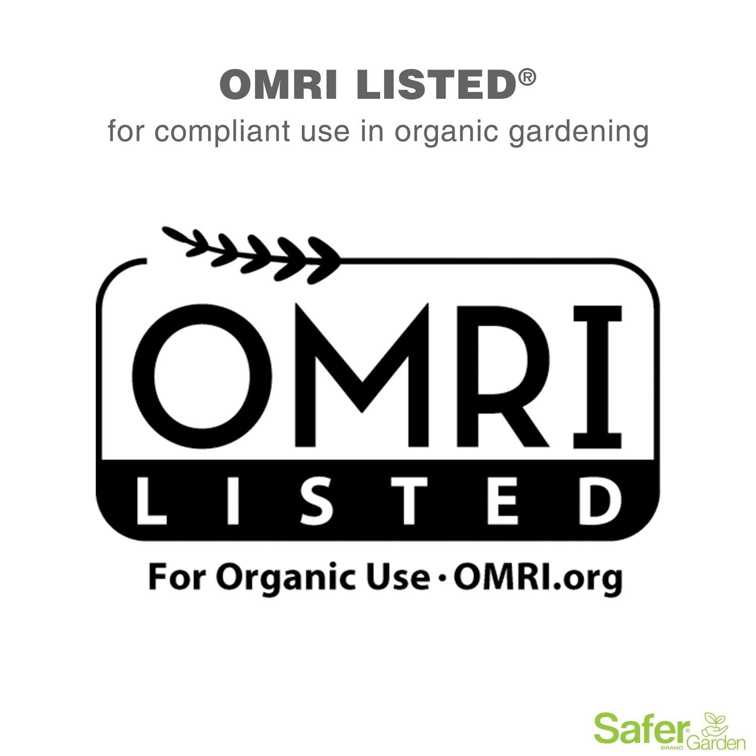 Safer Brand Neem Oil Organic Insect Killer Liquid 24 oz