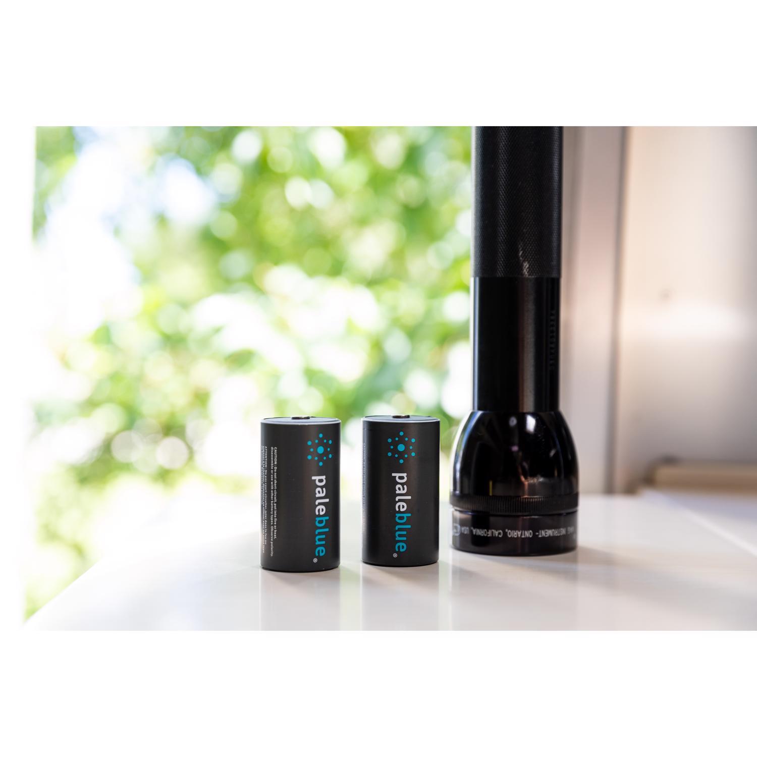 Pale Blue Earth D Lithium Batteries 2 Pack Clamshell