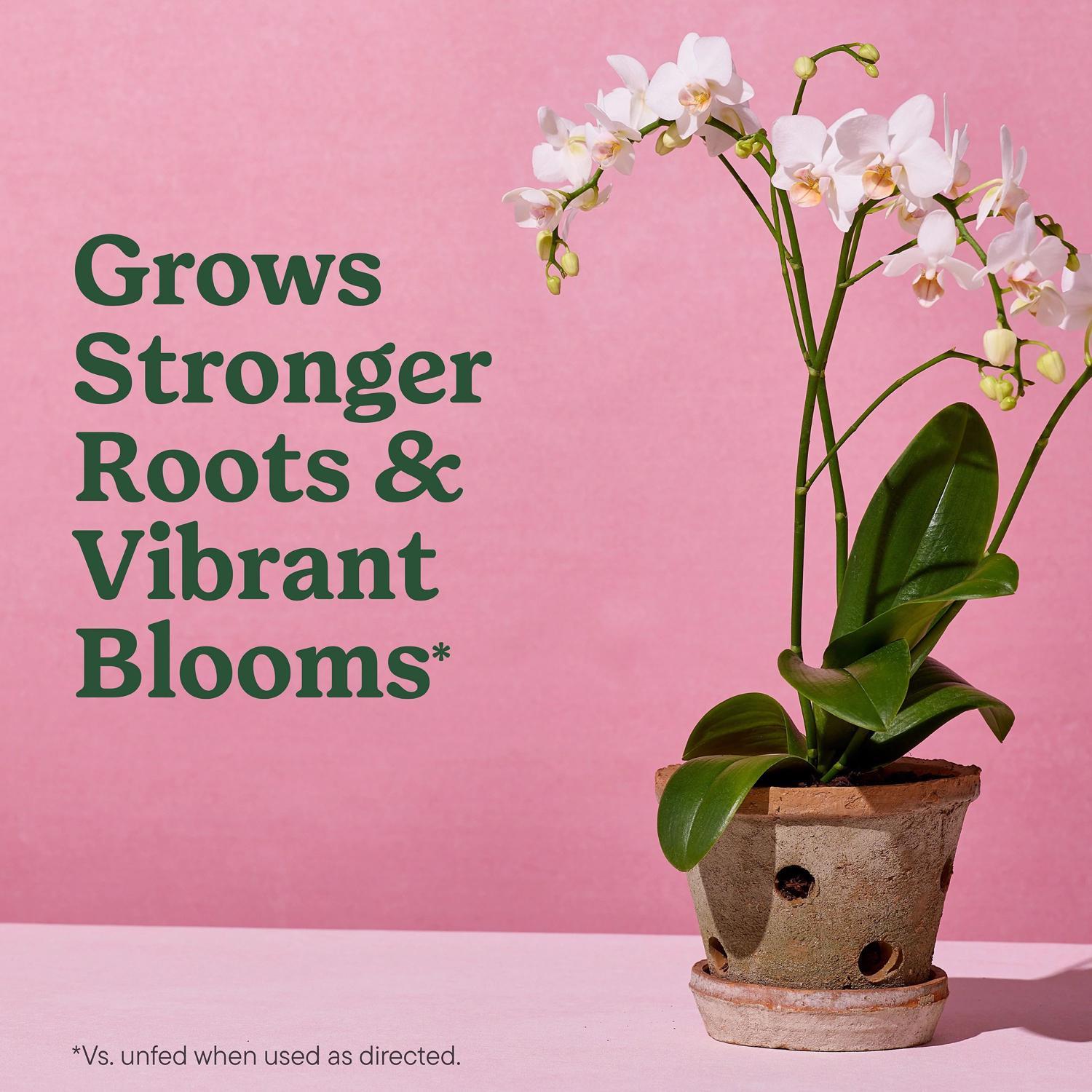 Miracle-Gro Orchid Potting Mix 8 qt
