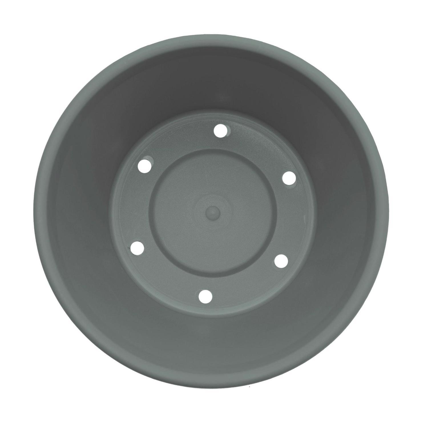 Bloem Terra 8.5 in. H X 10.75 in. W X 7.5 in. D Plastic Traditional Planter Basil