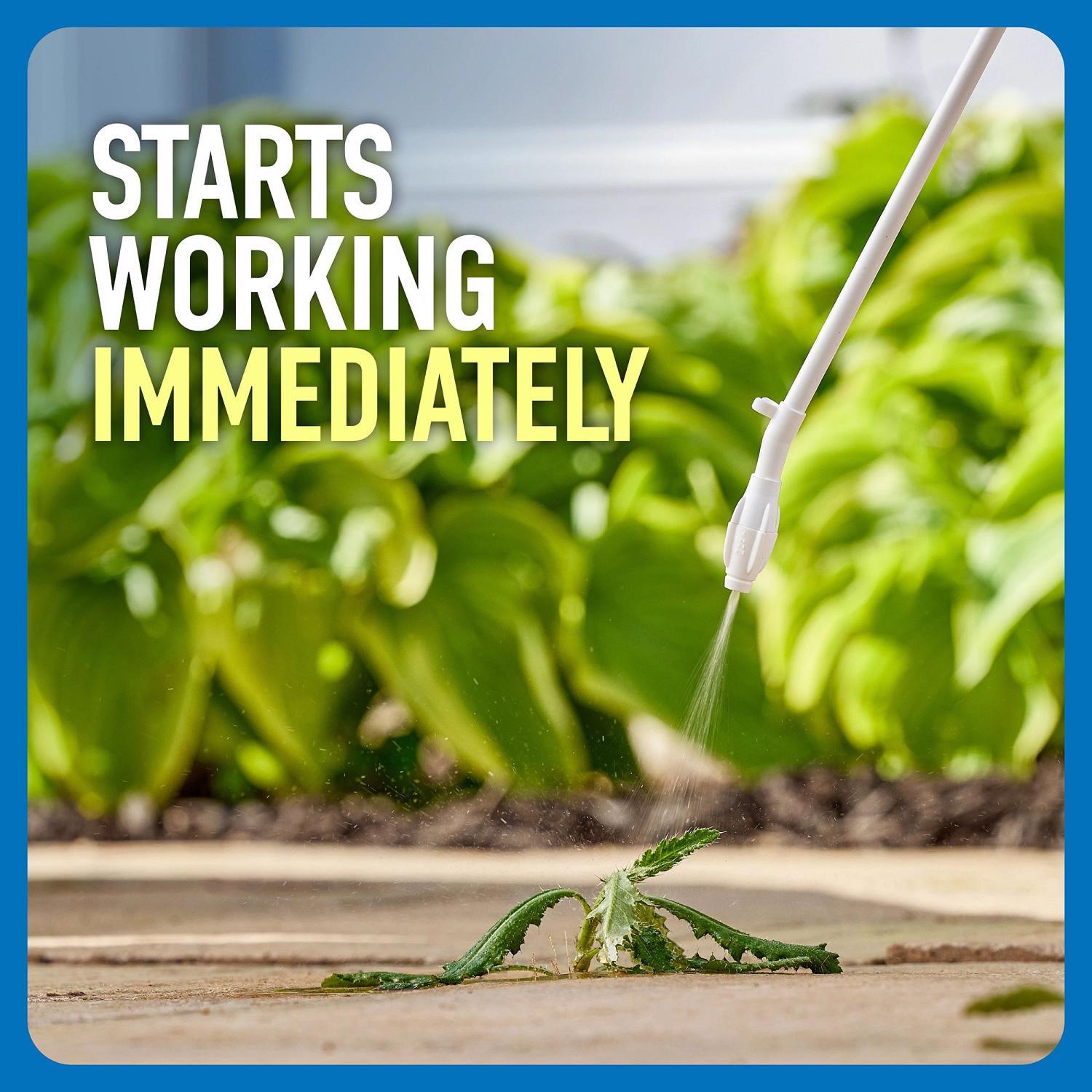 Roundup Weed and Grass Killer RTU Liquid 1 gal