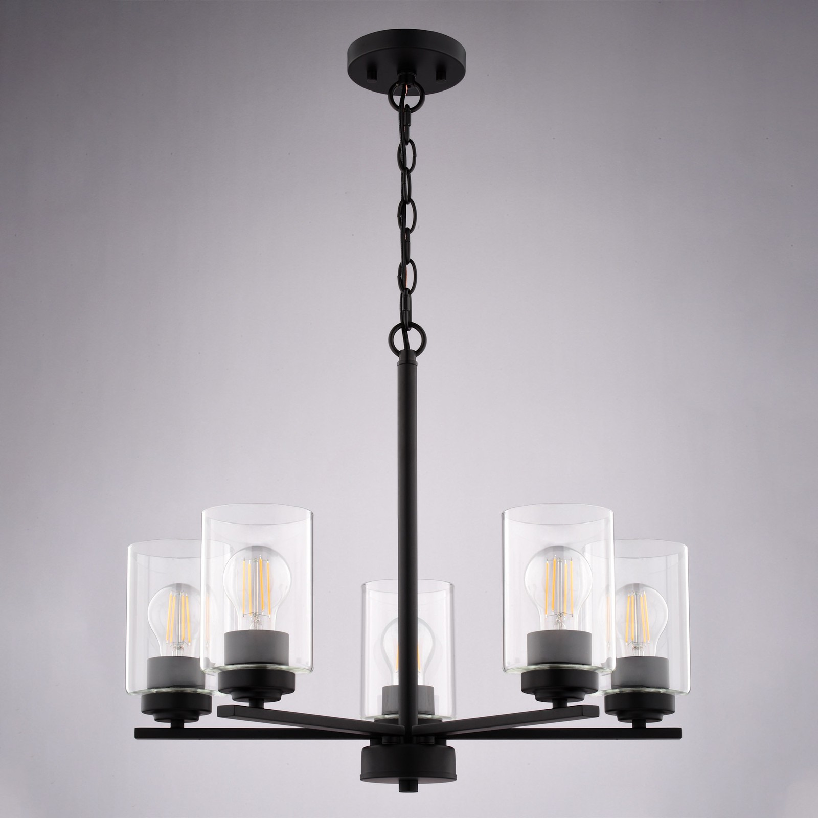 Vaxcel Lighting H0313 Park Ridge 5 Light 21 in.W Chandelier - Black