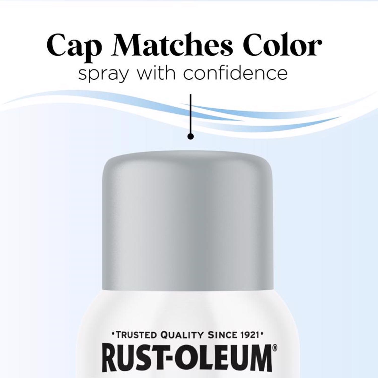 Rust-Oleum Low Odor Matte Daydreaming Spray Paint 11 oz.