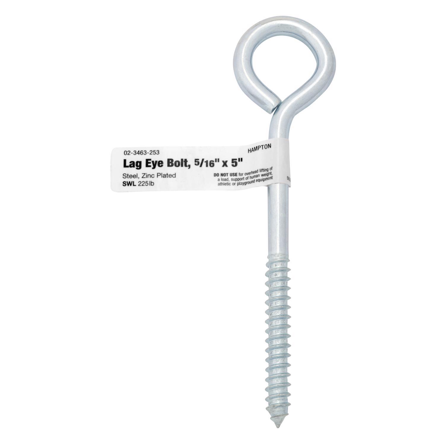 Hampton 5/16 in. X 5 in. L Zinc-Plated Steel Lag Thread Eyebolt