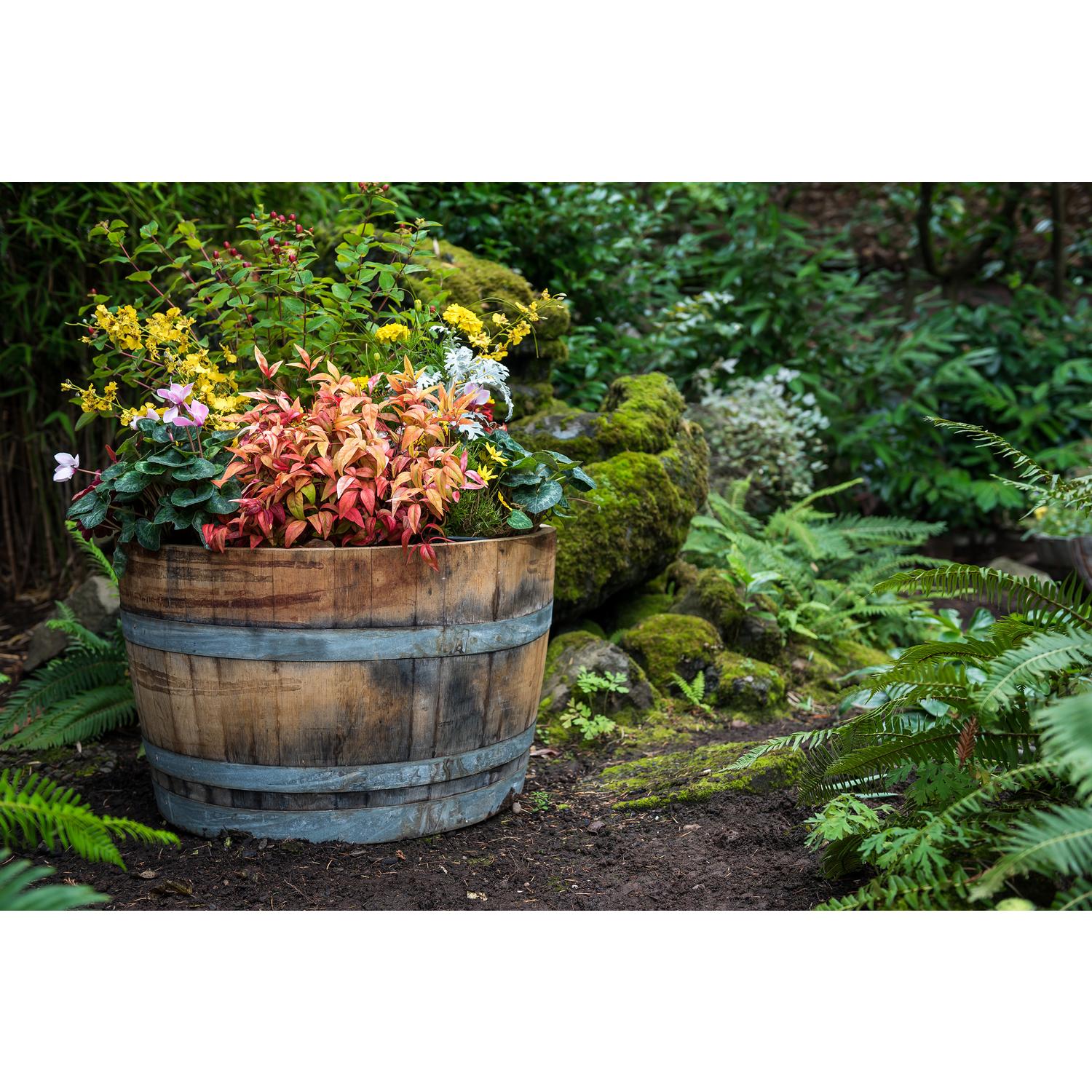 Real Wood Products 17.5 in. H X 26 in. W X 26 in. D Oak Whiskey Barrel Barrel Brown