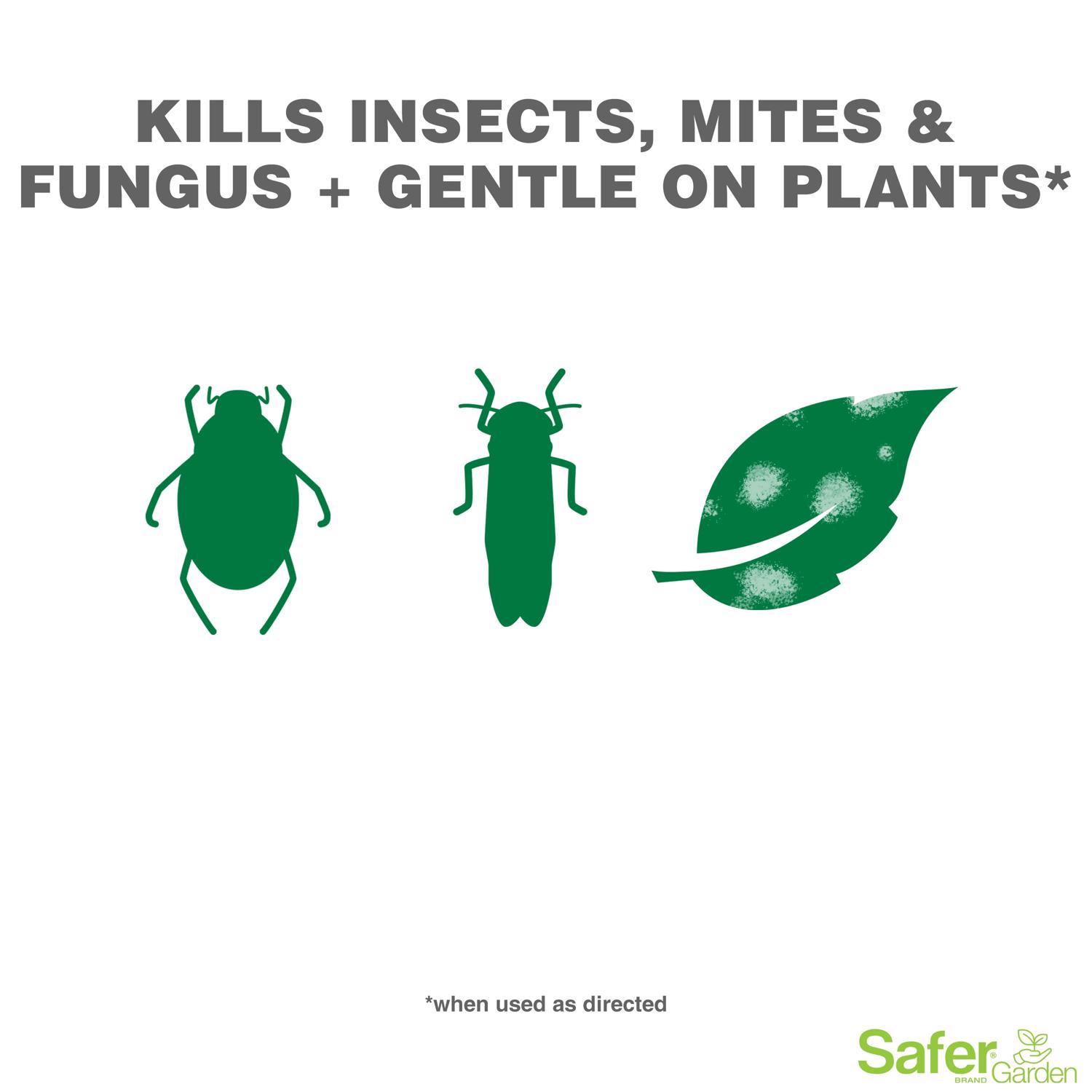 Safer Brand Organic Liquid Disease/Insect Control 24 oz