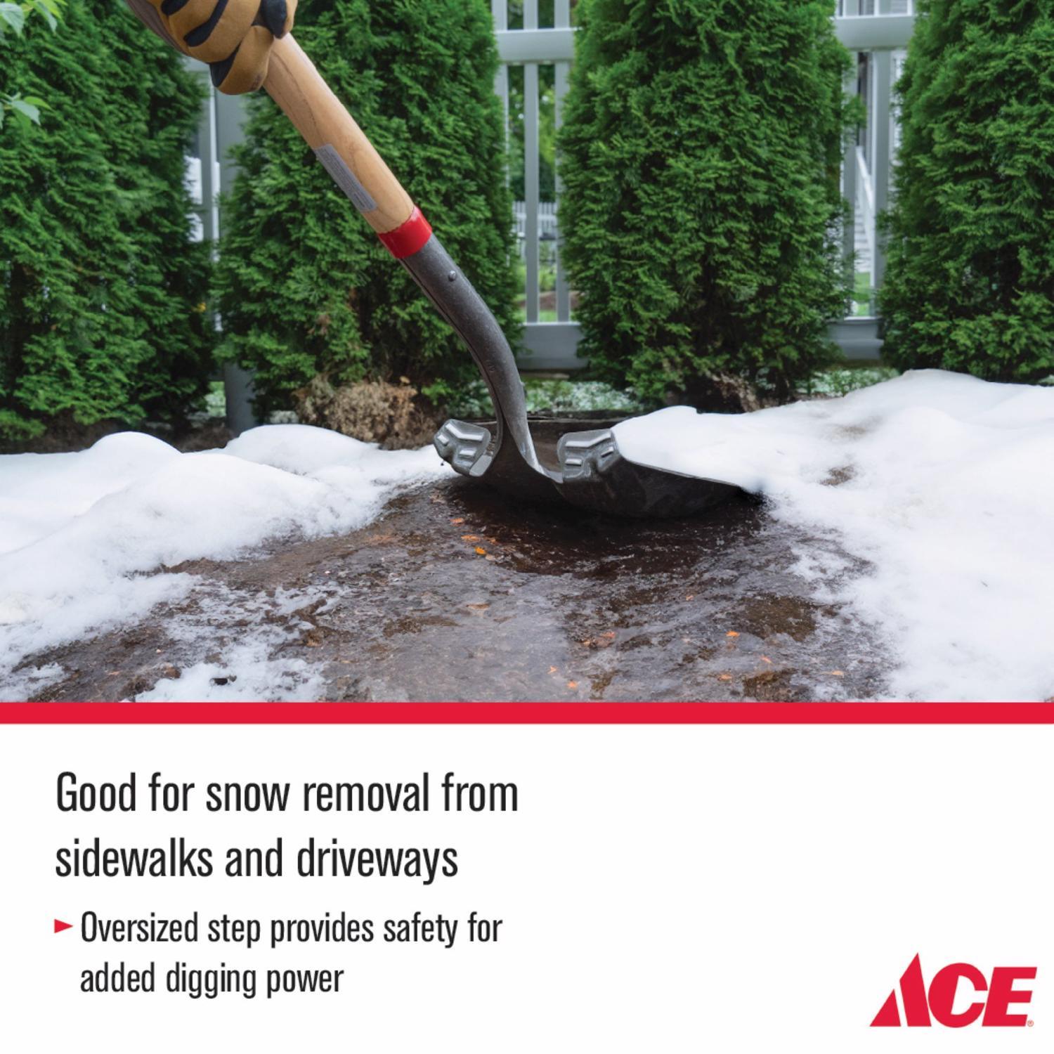 Ace 57.75 in. Steel Square Transfer Shovel Wood Handle