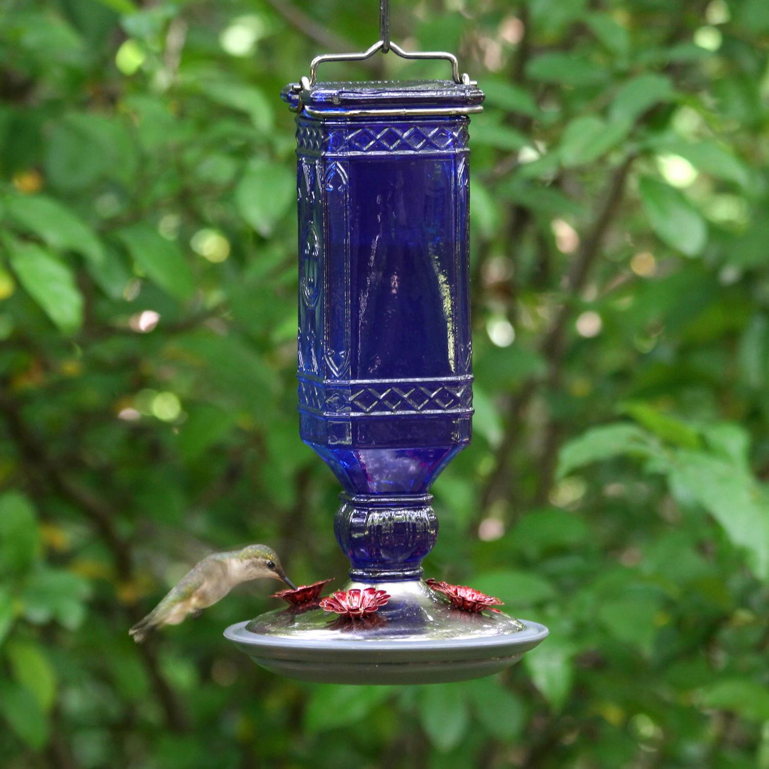 Perky-Pet Hummingbird 16 oz Glass/Metal Nectar Feeder 4 ports