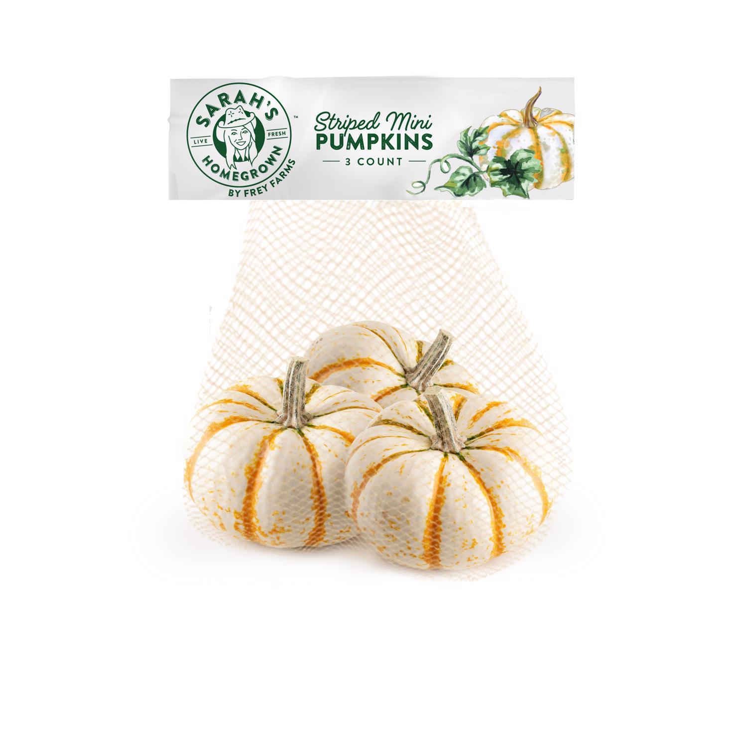 Frey Farms Sarah's Home Grown Orange Mini Pumpkins 3