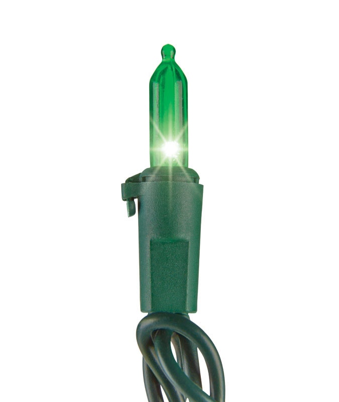 Celebrations Traditional LED Mini Mini Light Set Green 12.25 ft. 50 lights