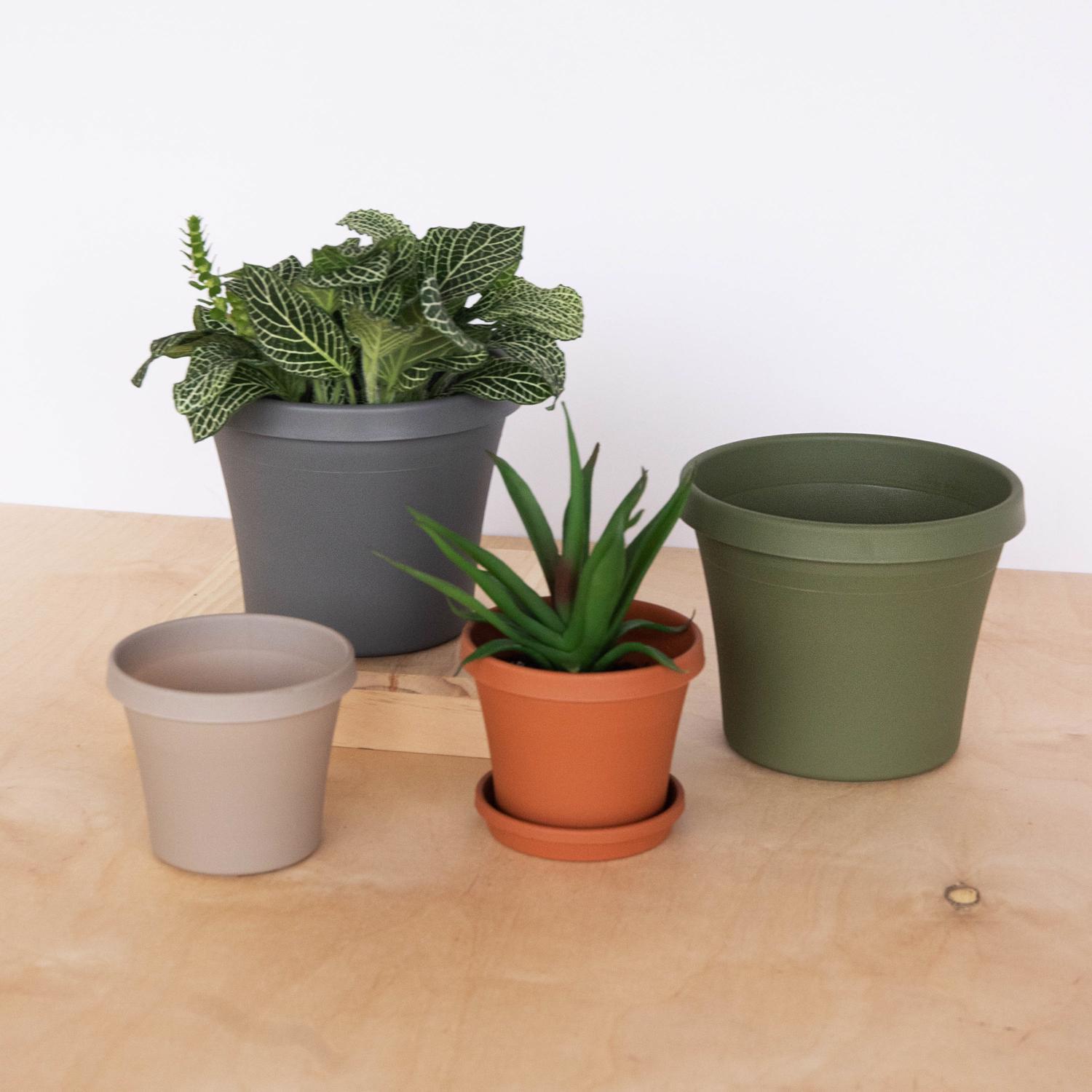 Bloem Terra 0.7 in. H X 3.75 in. D Resin Traditional Plant Saucer Terra Cotta