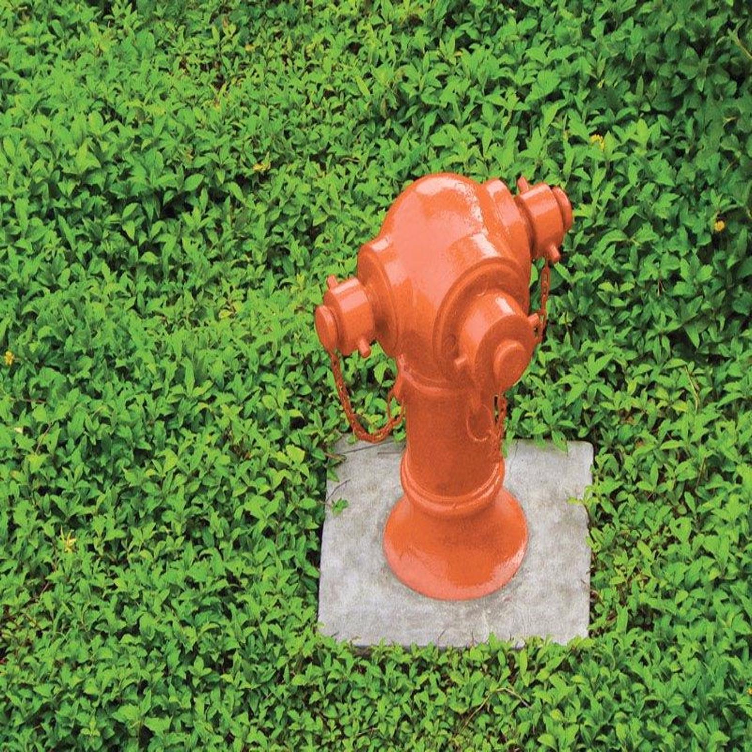 Ace Rust Stop Gloss Safety Orange Protective Enamel Spray Paint 15 oz