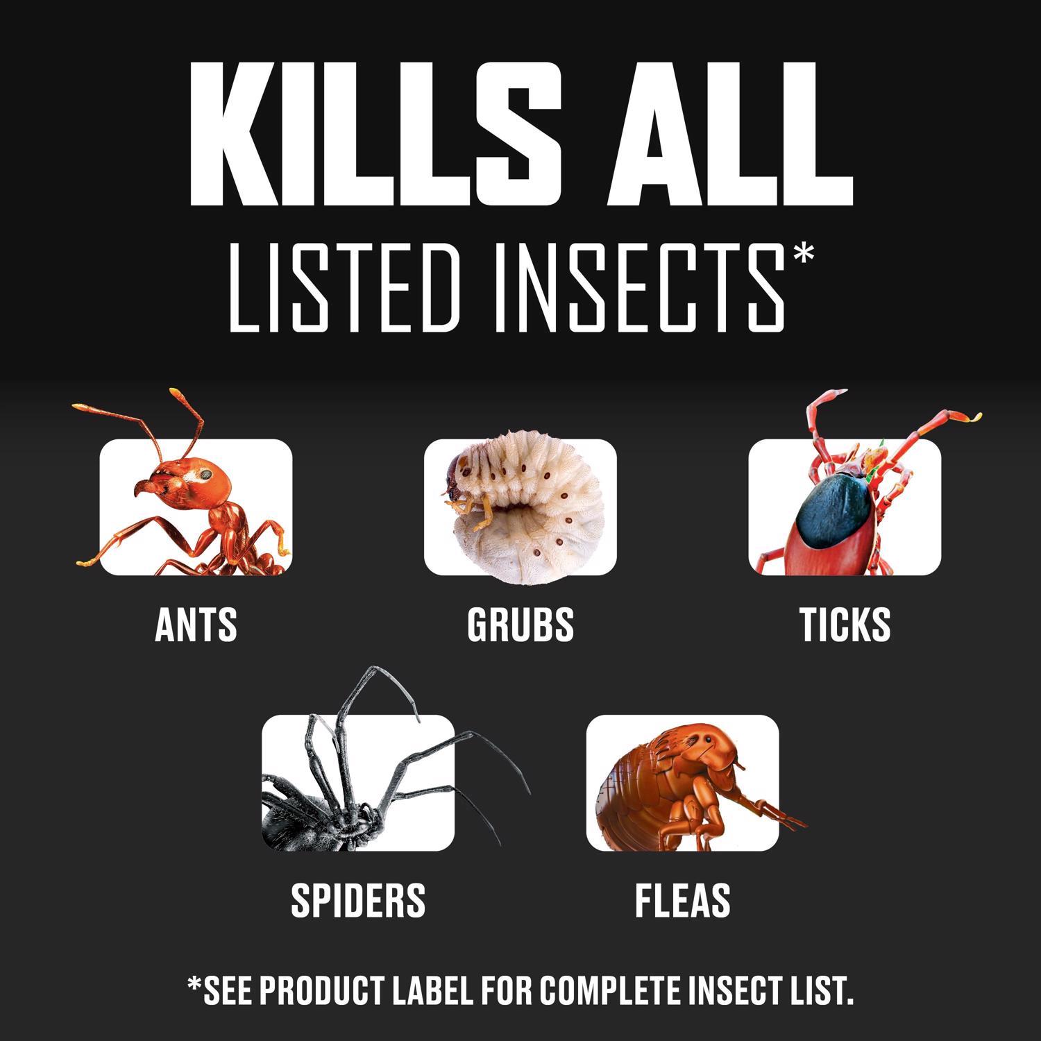 Ortho BugClear Insect Killer Granules 10 lb