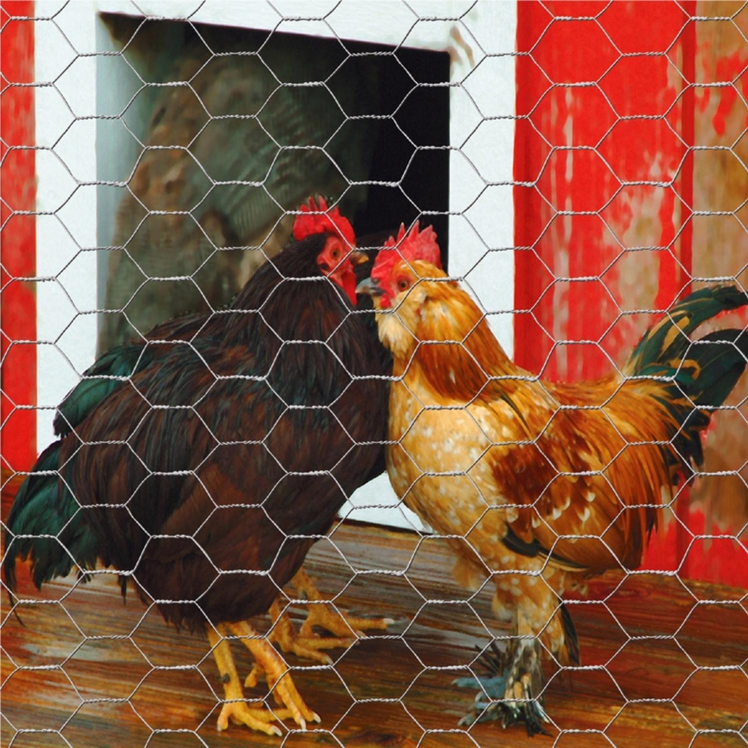 Garden Craft 48in. H x 50in. L Galvanized Steel Poultry Netting 1in.