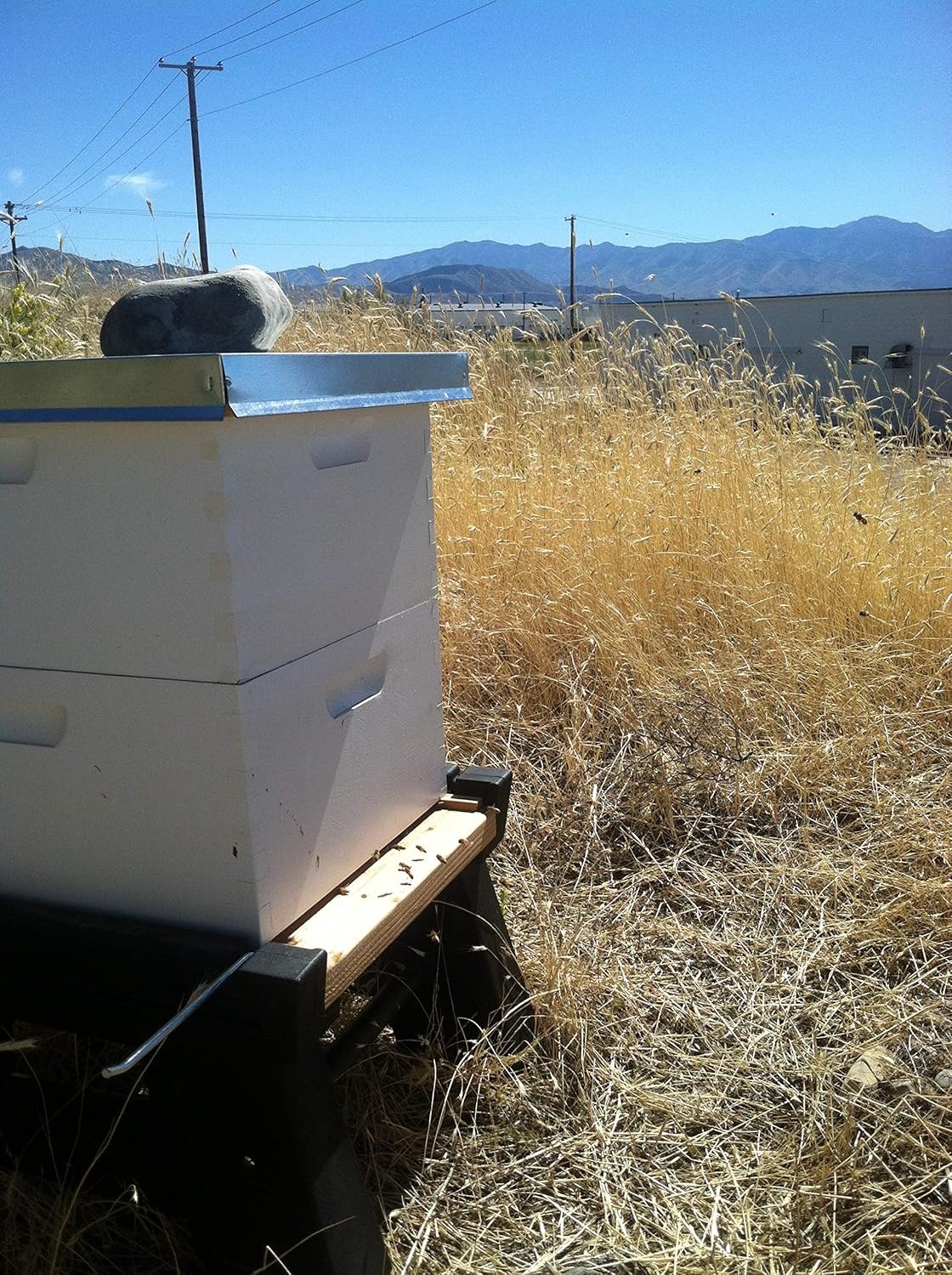 Harvest Lane Honey Deep Brood Box with Frames and Foundation